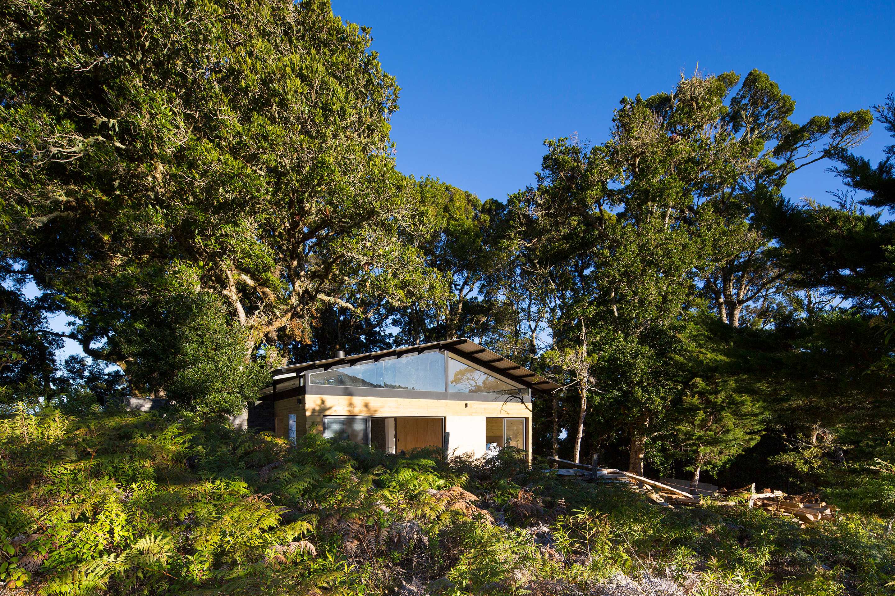 哥斯达黎加 EFC 小木屋-8