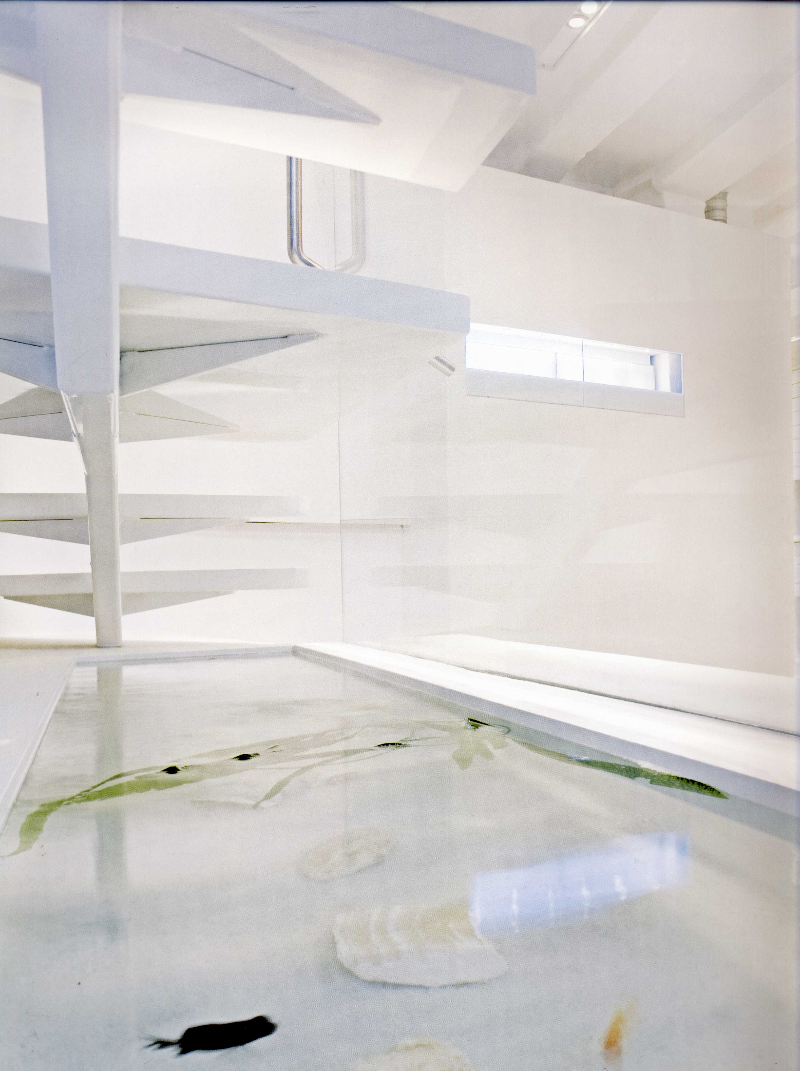 JEWELLERY SHOP 珠宝店-8-68