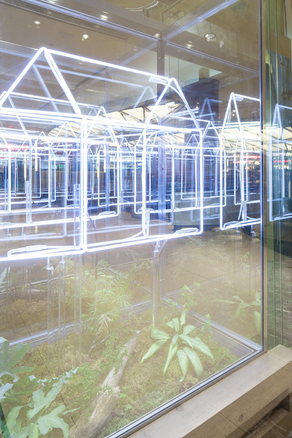 千克工作室为多伦多果汁吧设计雪松内饰-18