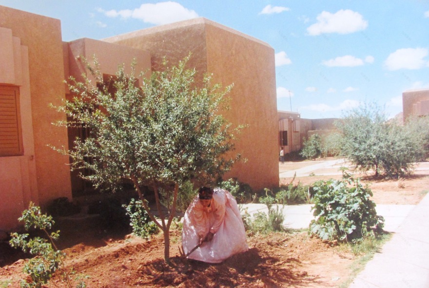 融合本土风格的摩洛哥矿工村庄设计-13