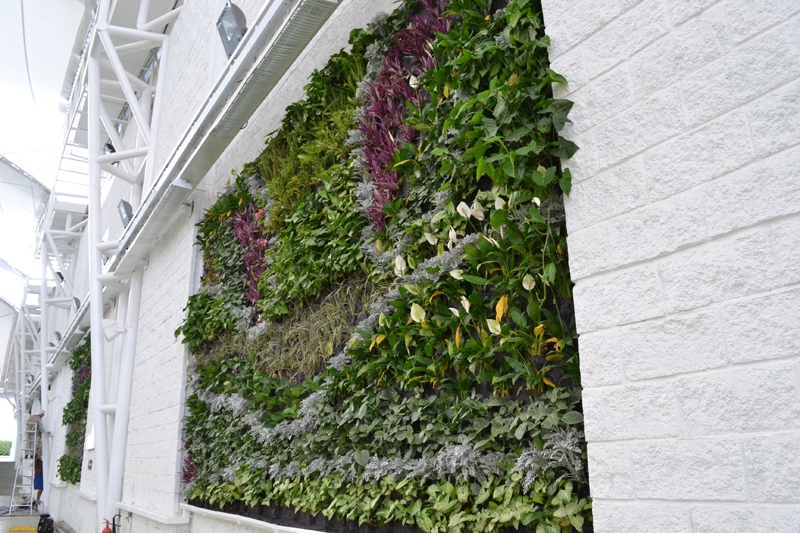 哥伦比亚 Ibague 泛美书店-9