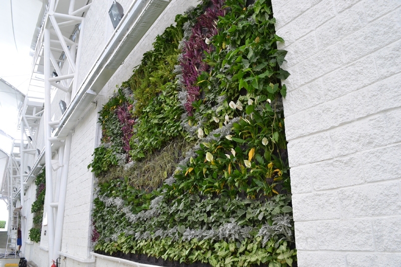 哥伦比亚 Ibague 泛美书店-9