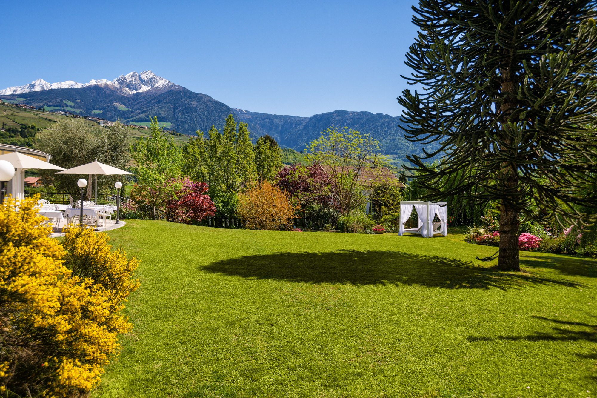 Fayn 酒店翻新 | 打造难忘的度假体验-15