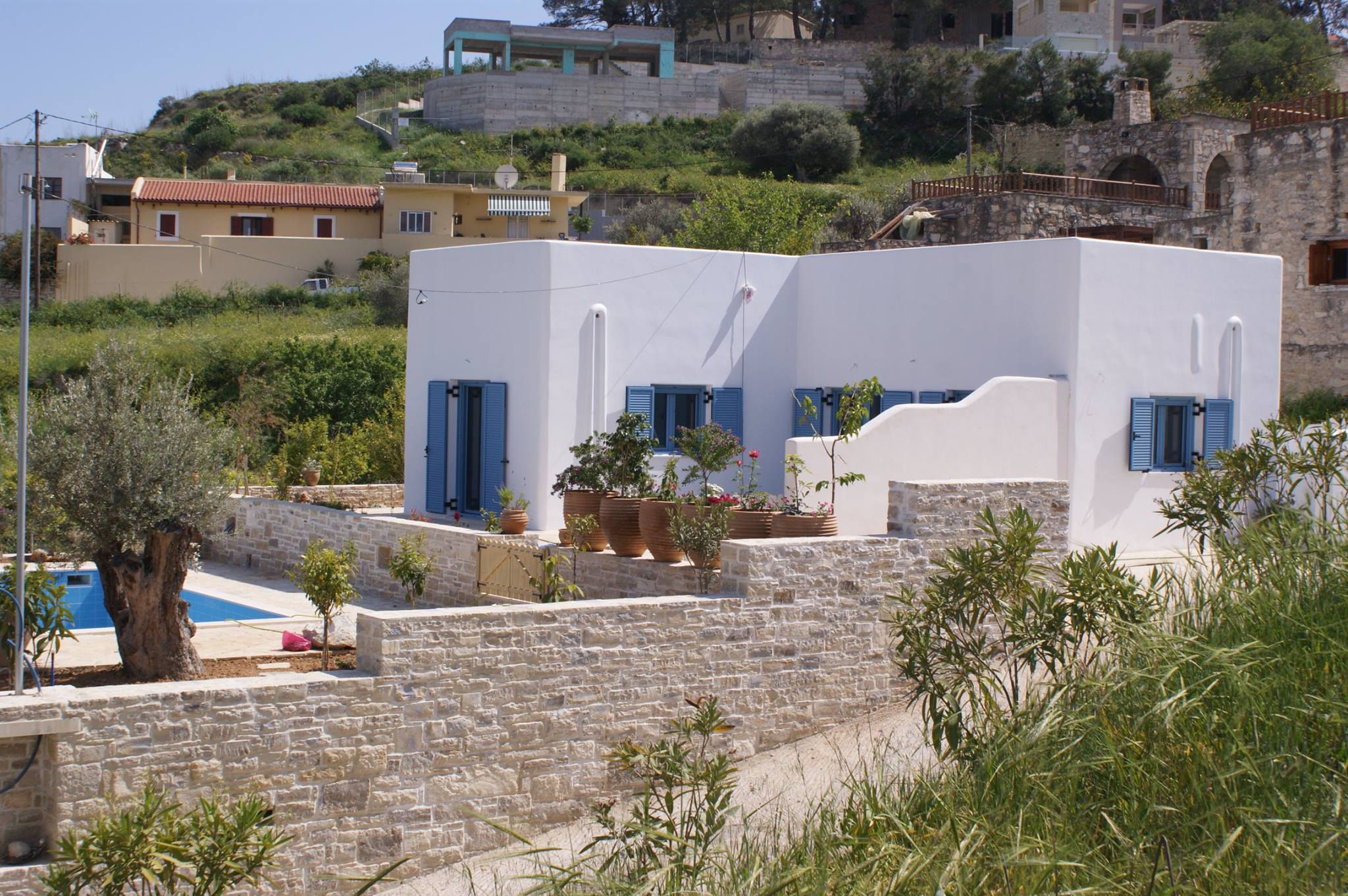 众议院 anthemis-2