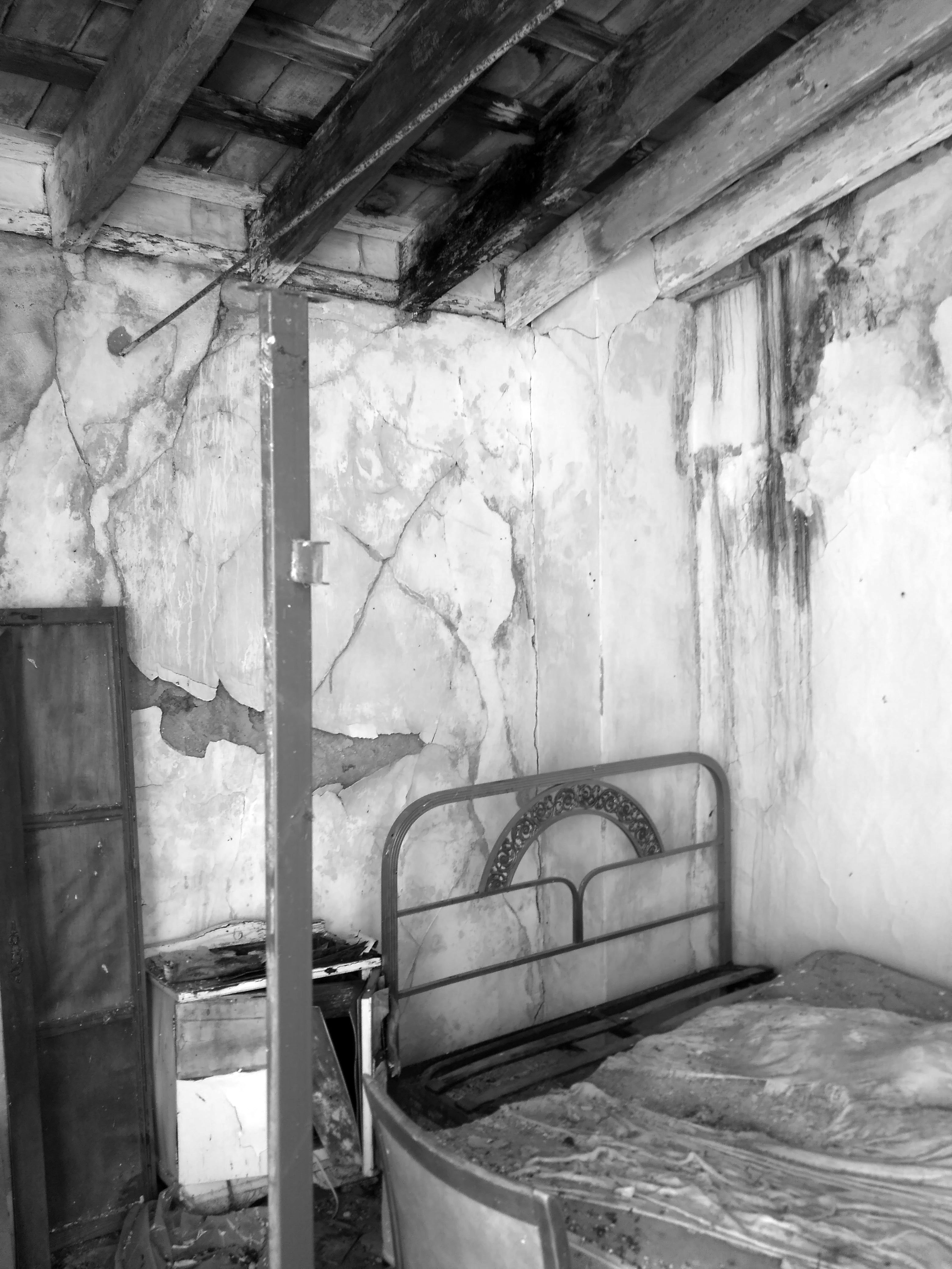 历史果园“El Pilar”的恢复性改造-11