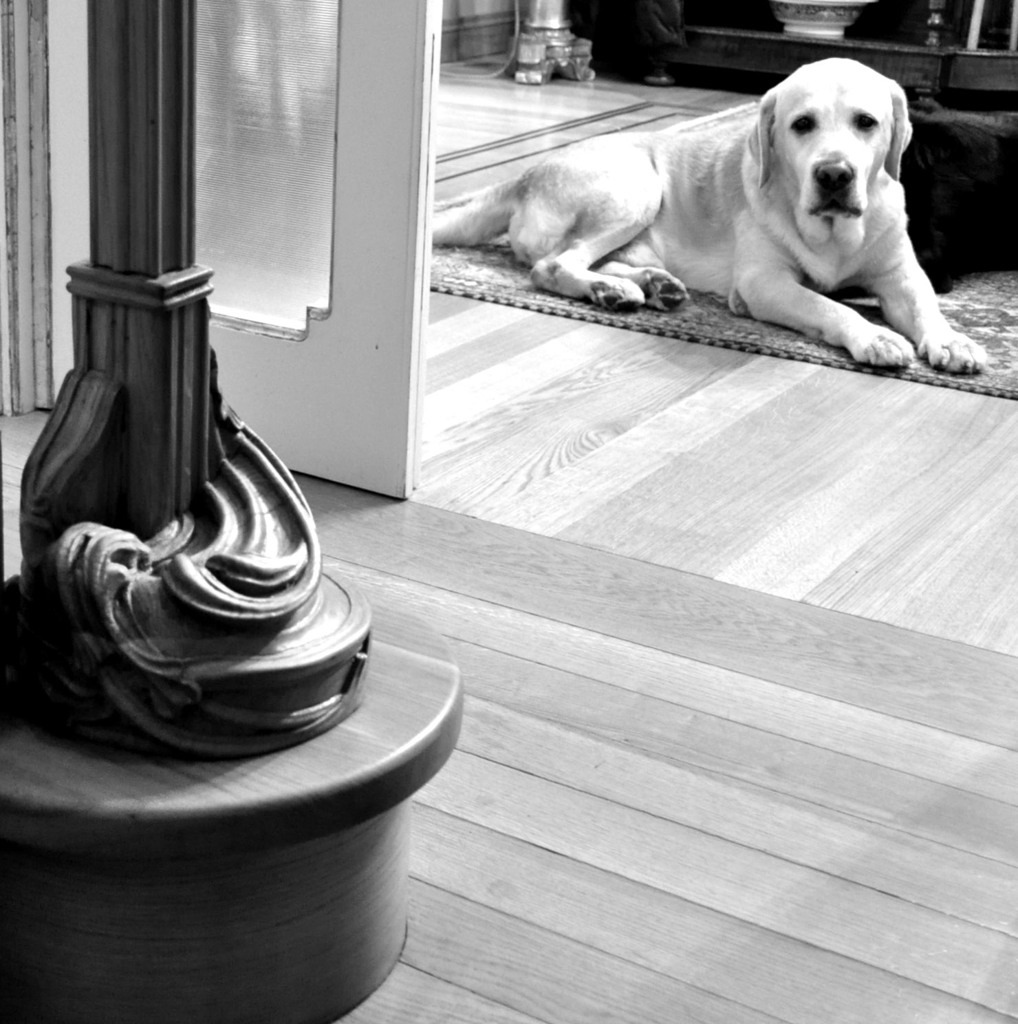 意大利牙科诊所的复杂空间设计-68