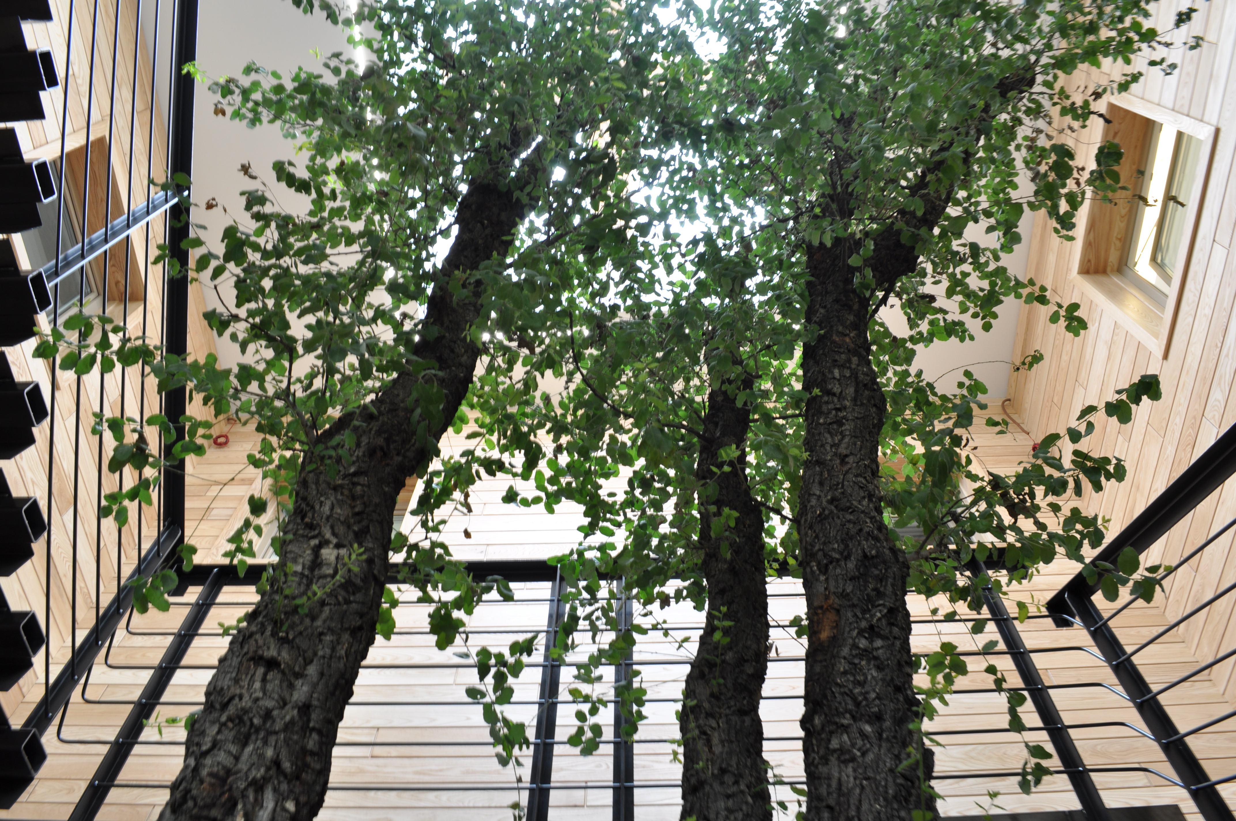 意大利能源效率学院总部-2