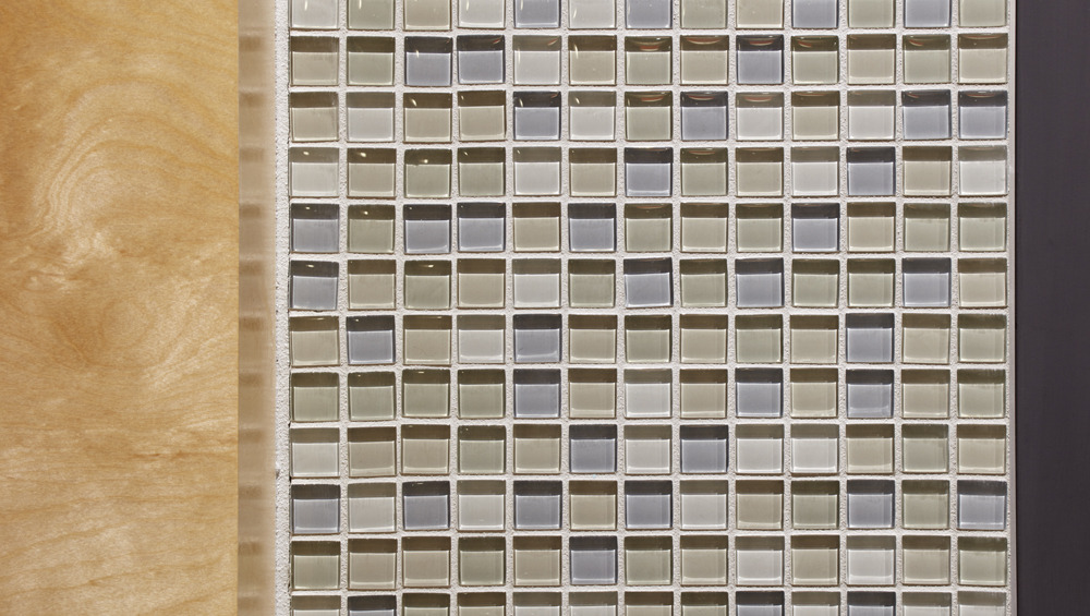 约克区低收入老年公寓及青少年中心-20