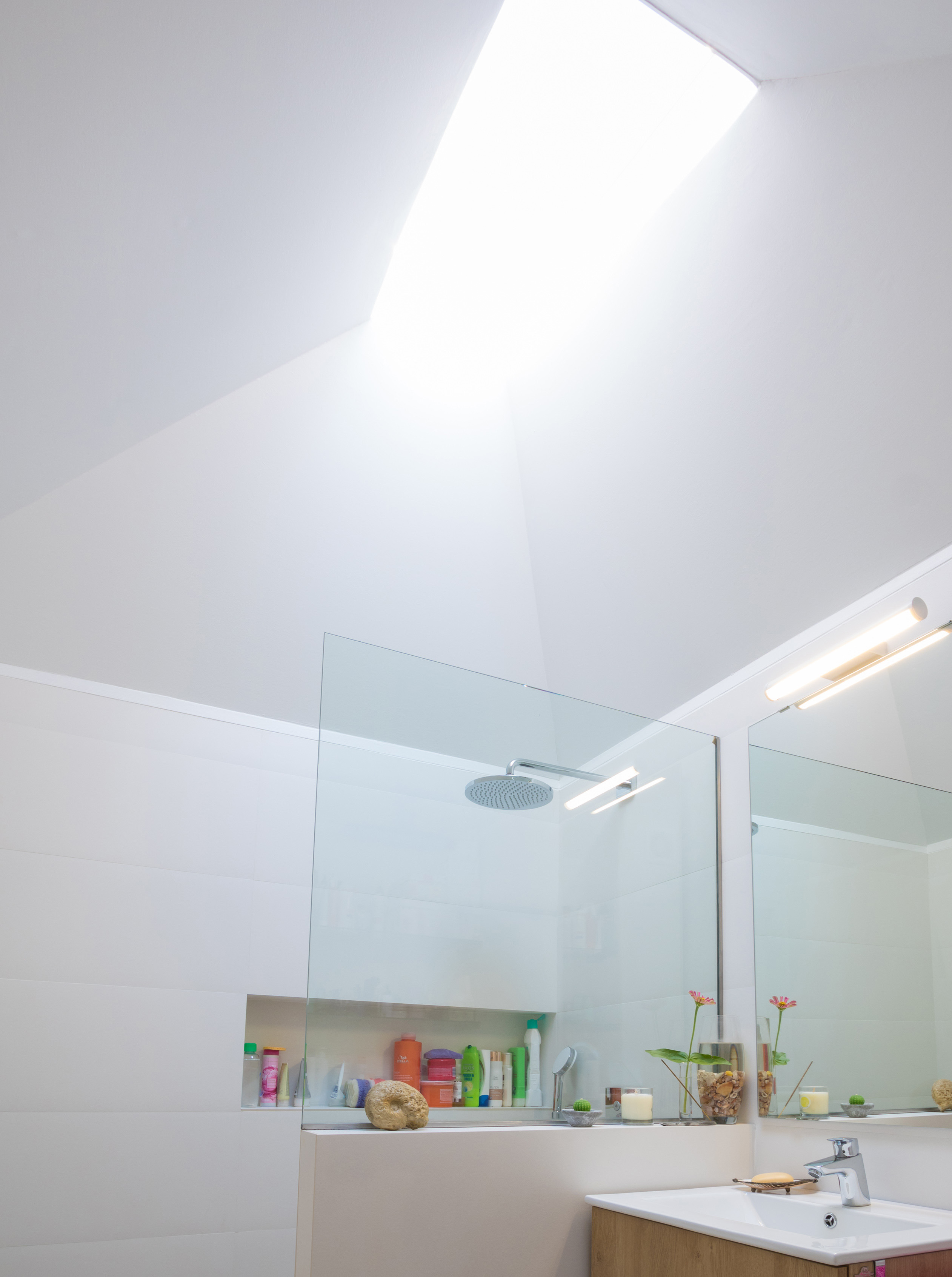 历史果园“El Pilar”的恢复性改造-10