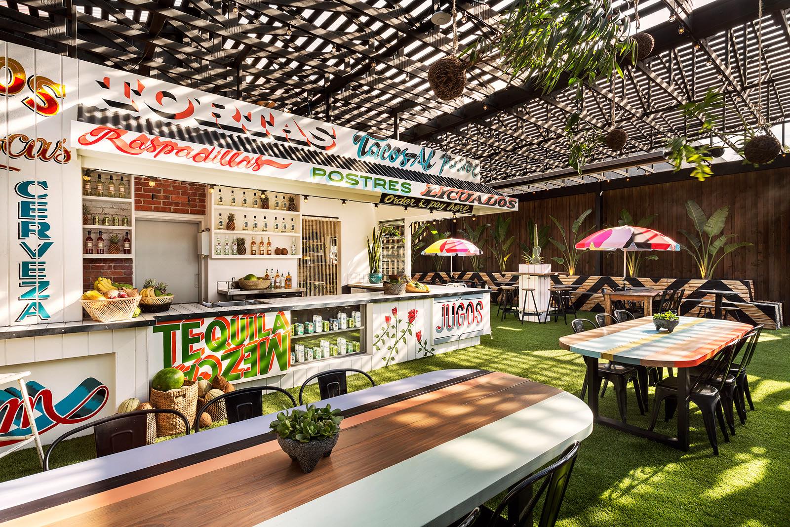 卡罗莱纳夫人-11