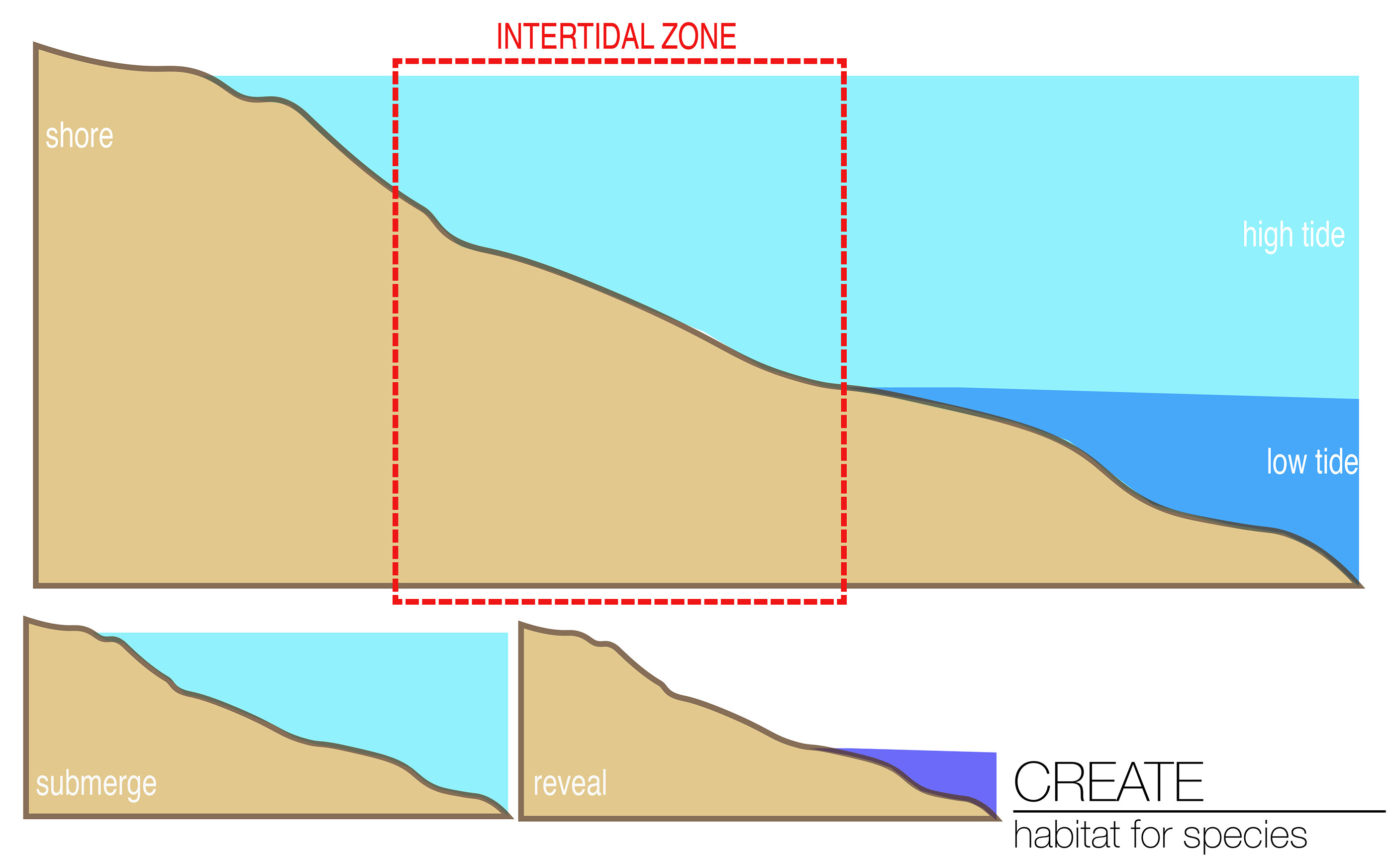 Site Ecology Studio Spring 2015-6