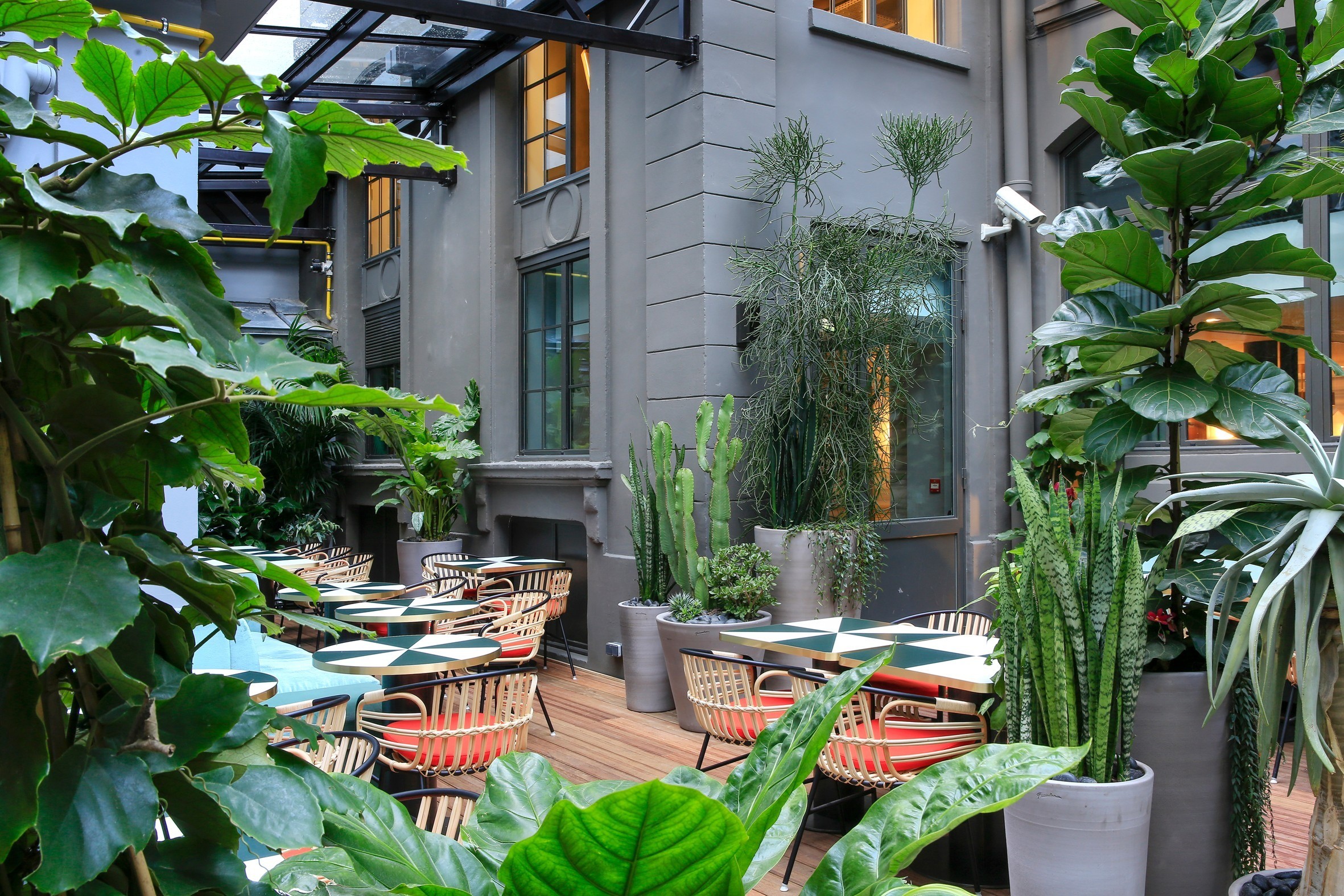 Klay Club 餐厅(Sinople)-14