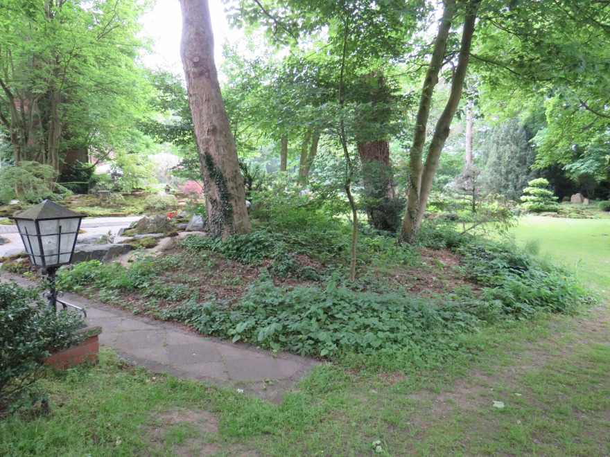 2017 日本花园研讨会 | 自然石座椅赏茶屋美景-10