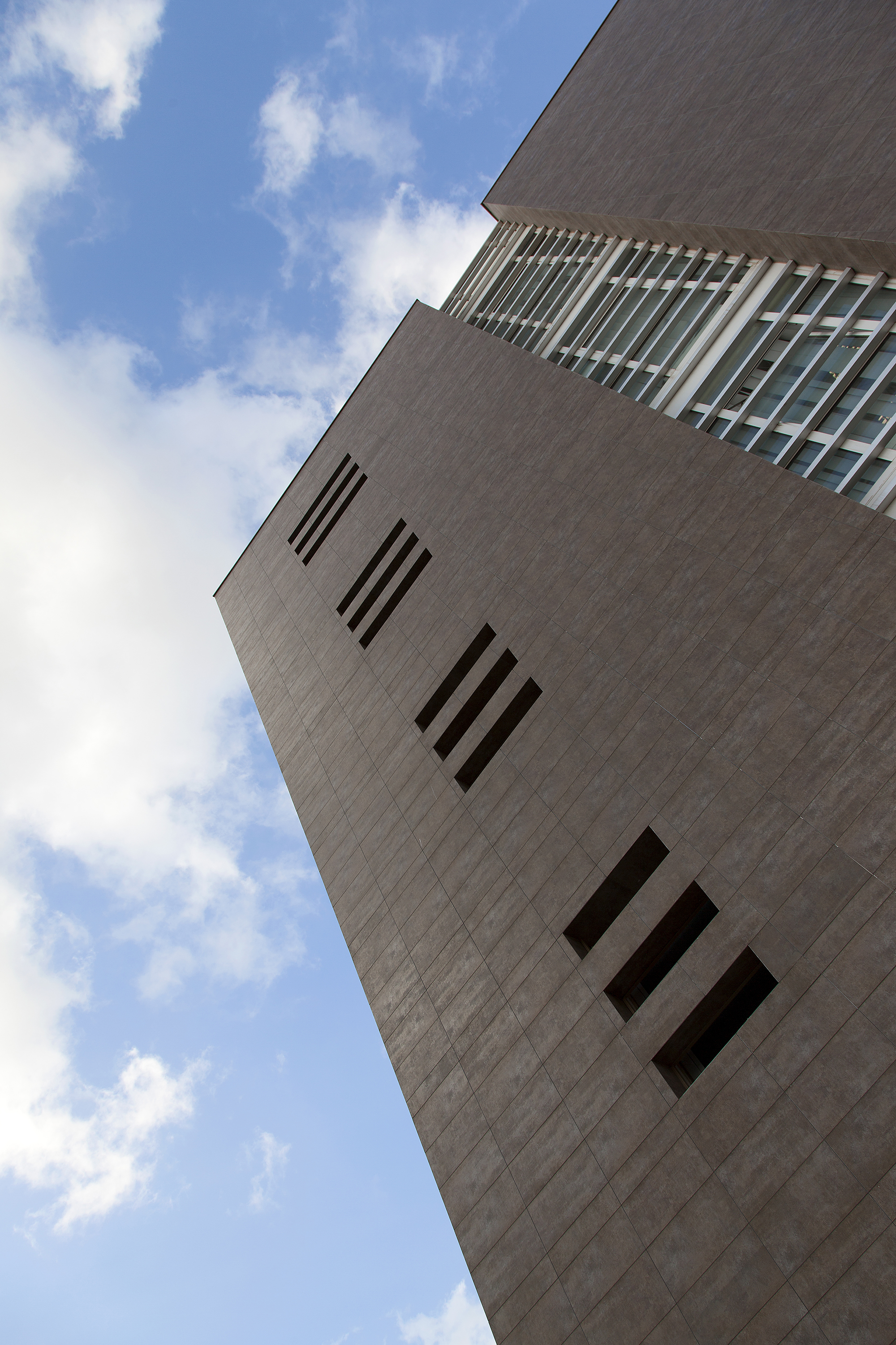 罗马郊区 Progedil 总部大楼创新环保设计-15