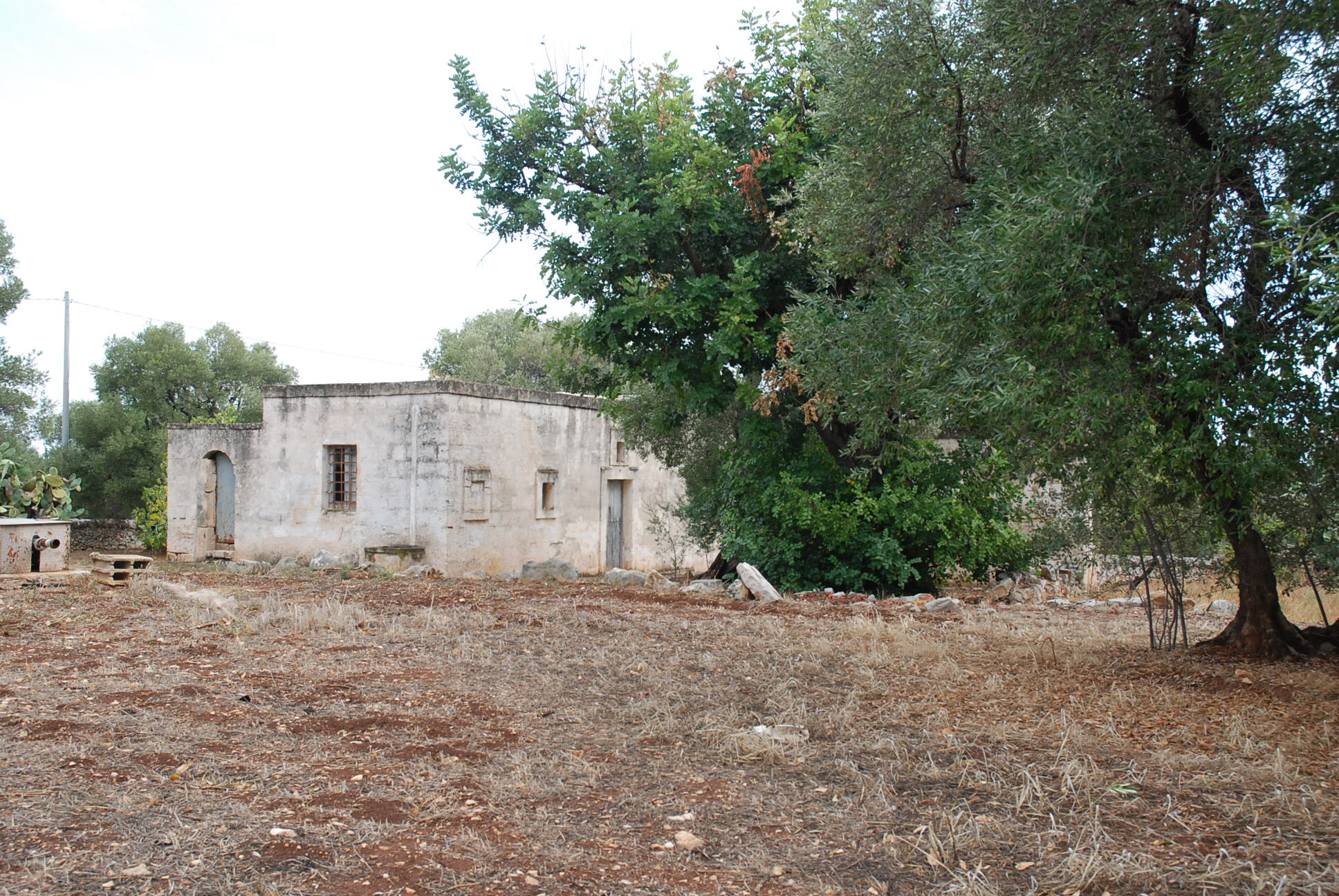 2015 年完成的单家庭住宅复兴之作-5