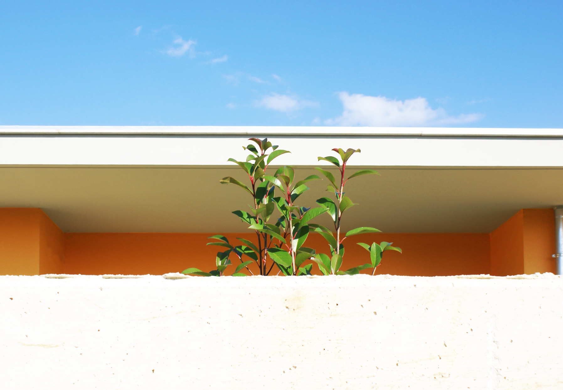 寓教于乐的儿童空间-1