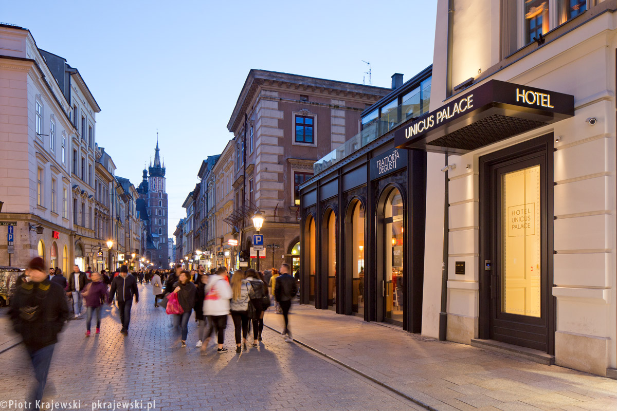 克拉科夫独一无二的宫殿酒店（Hotel Unicus Palace in Cracow）-15