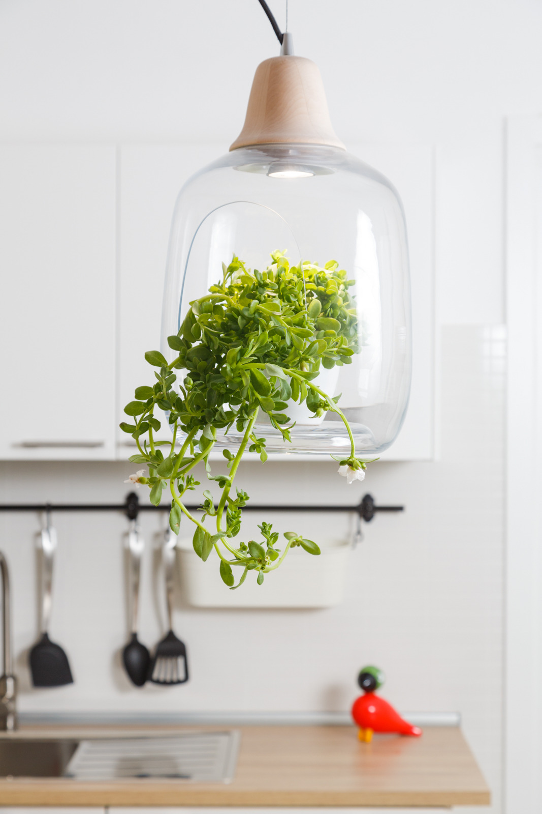 "2017 年 Marco 和 Roberta 之家 | 温馨北欧风小宅"-11