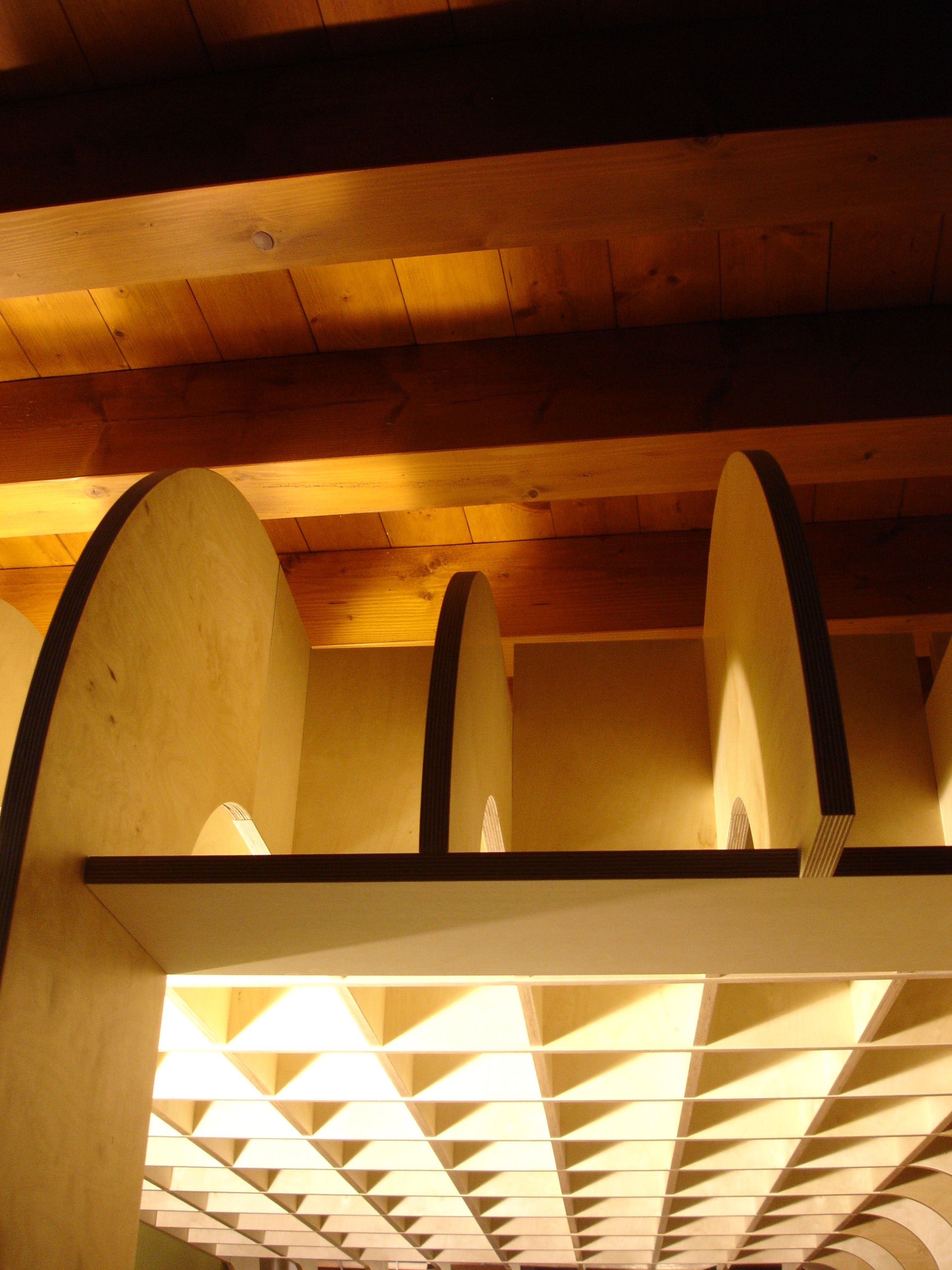 《光影生命》展示空间-21