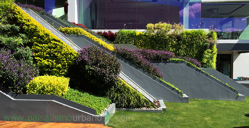 墨西哥绿意盎然的家庭住宅-29