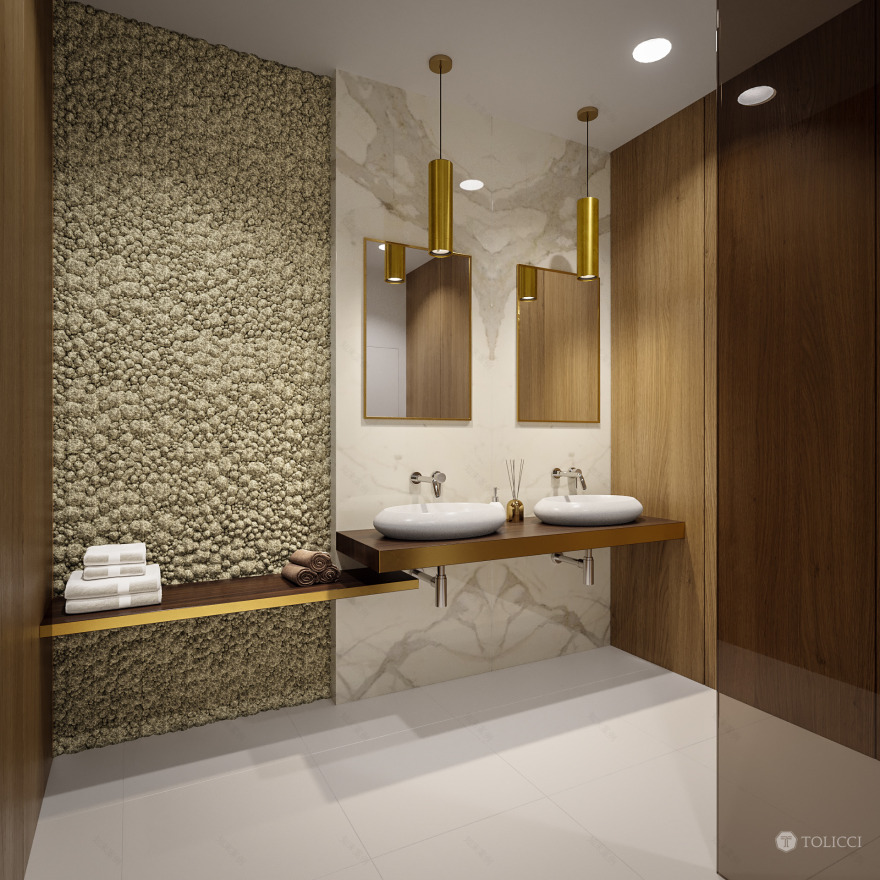 2017 年未实现的家庭住宅设计-15