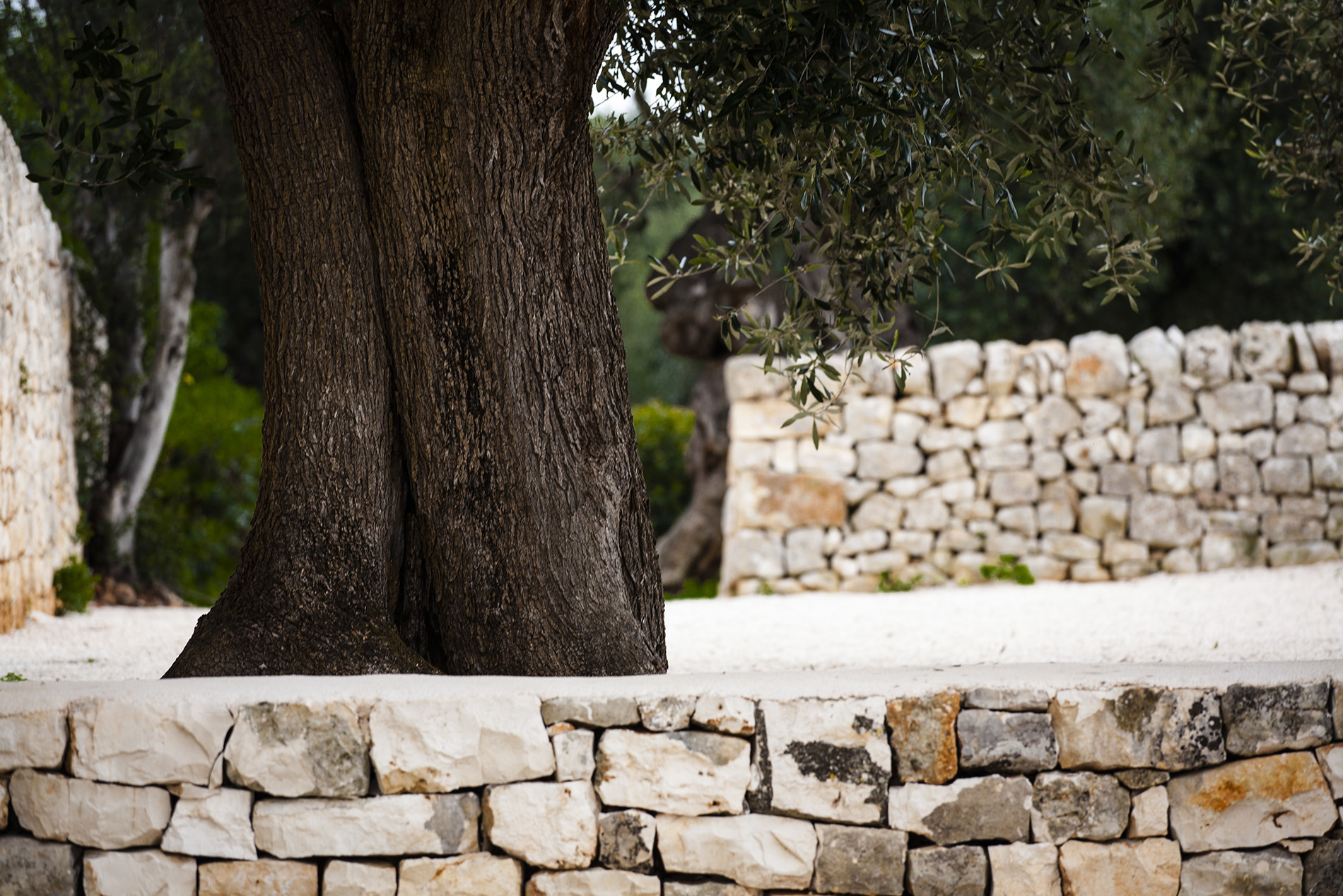 2016 年完工的 Villa Maria 历史建筑修复与室内设计案例-17