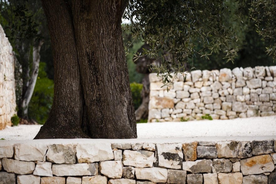 2016 年完工的 Villa Maria 历史建筑修复与室内设计案例-17