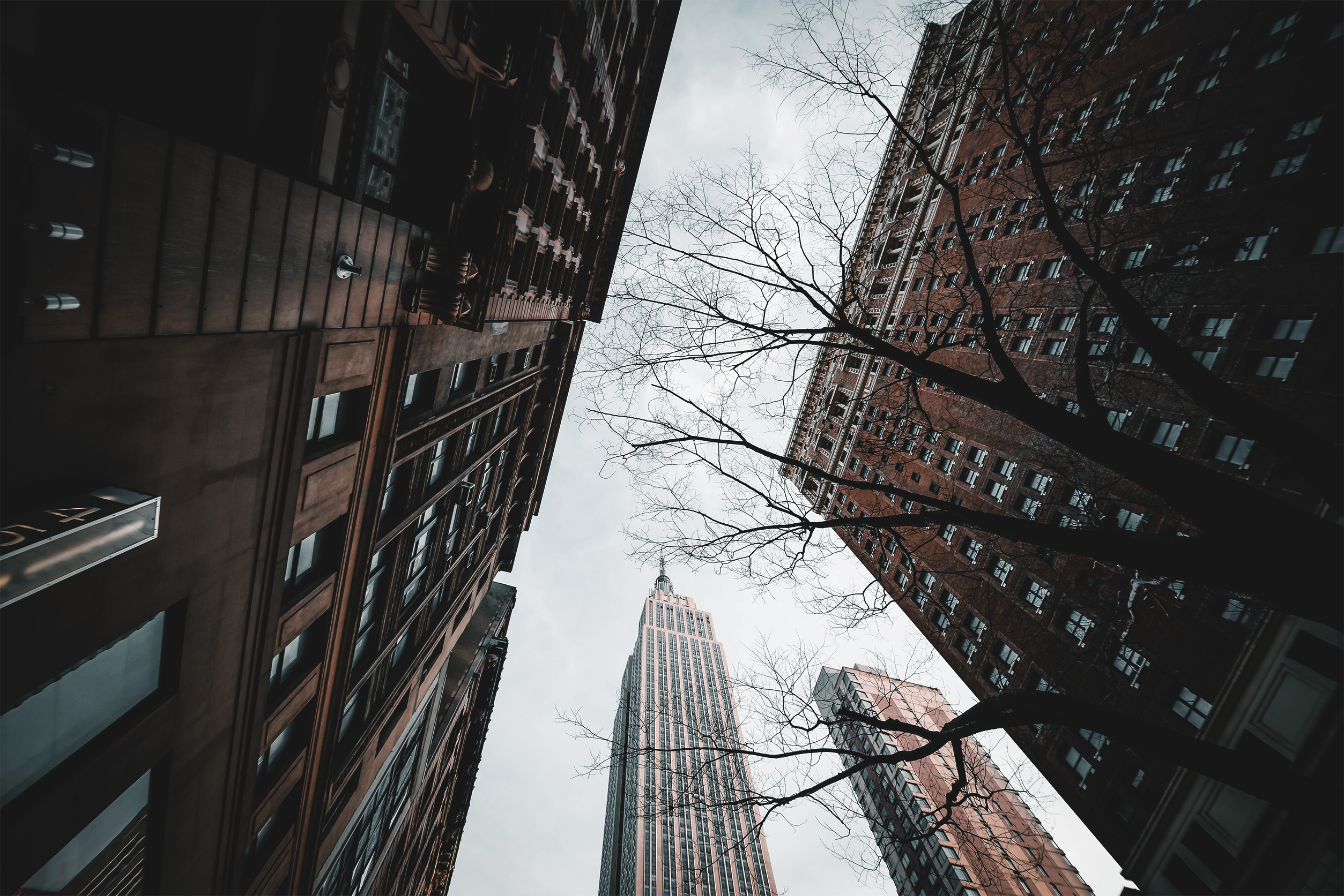 纽约 24 小时 | 中央公园、布鲁克林、中国城、中城、炮台公园-22