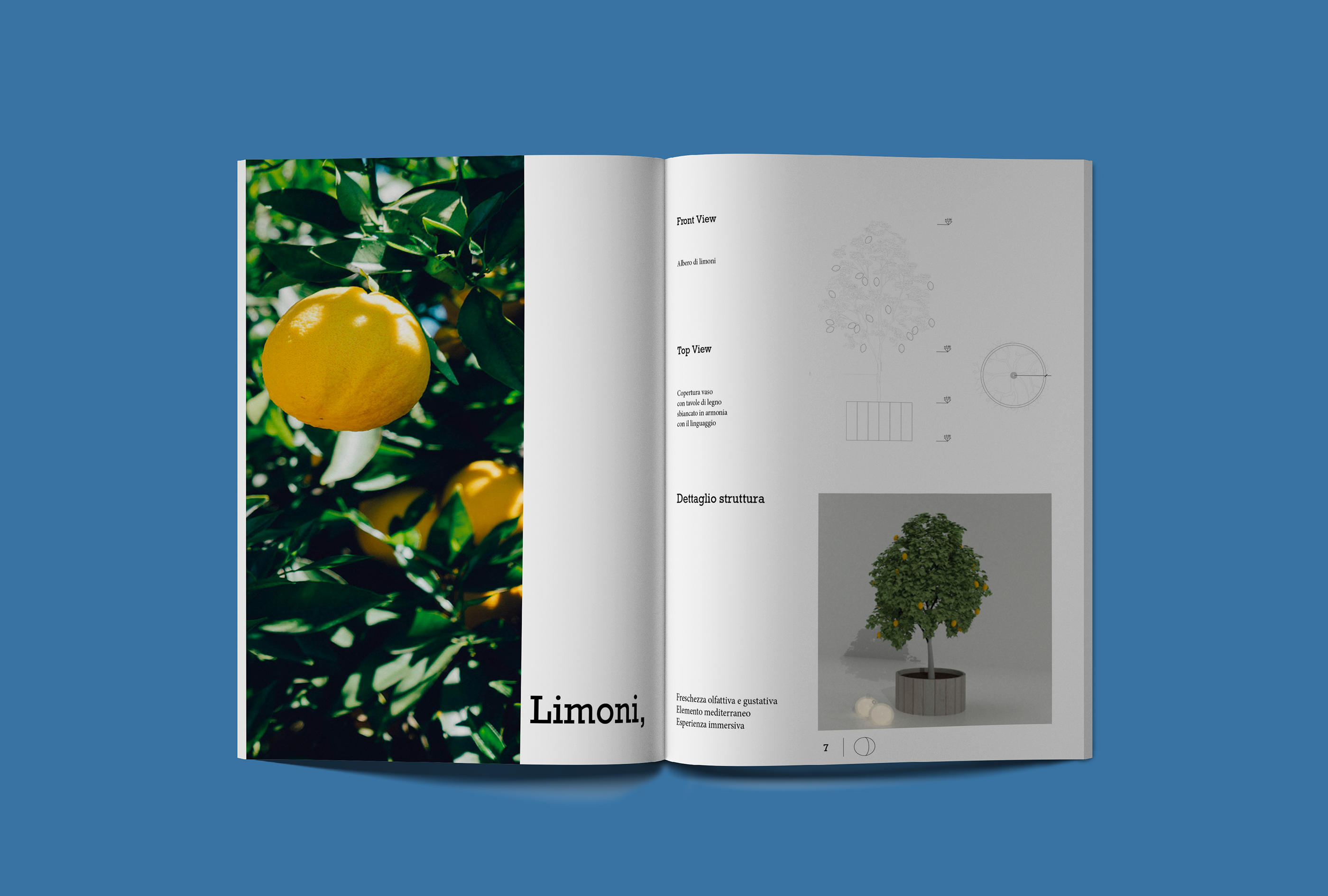 Le Onde del Mediterraneo-3