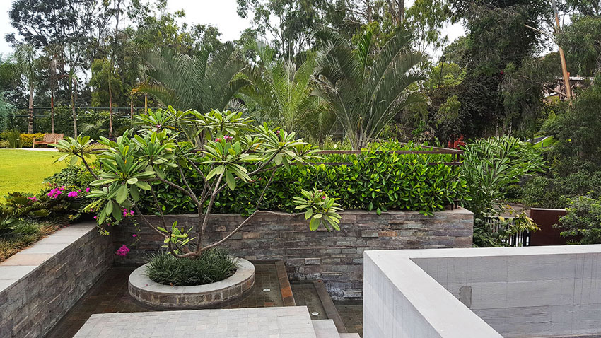 绿意盎然的家 · 打造 10 个月的世外桃源-6