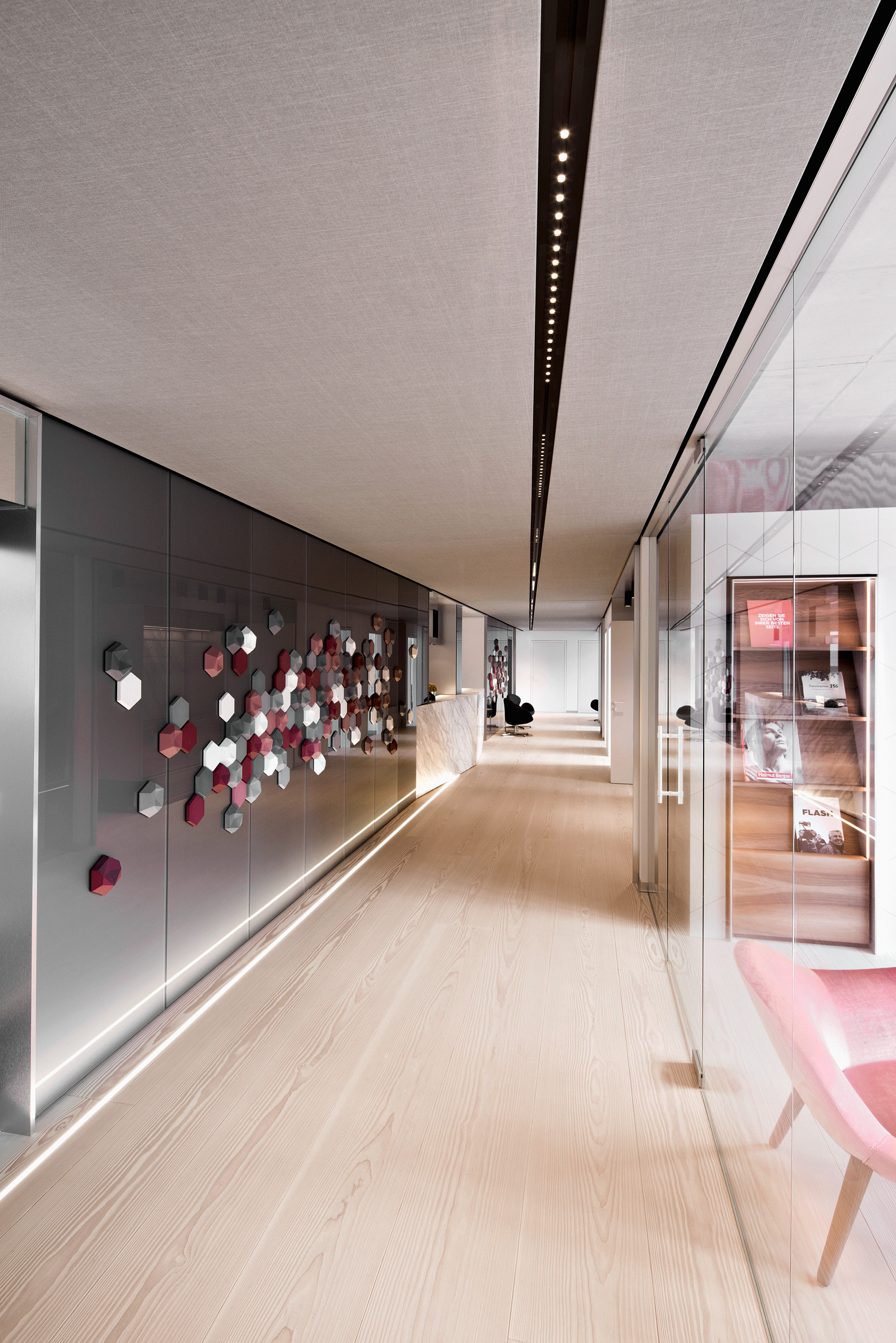 德国 Altmühltal Skin and Laser Center 室内设计-4