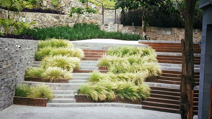 绿意盎然的家 · 打造 10 个月的世外桃源-2