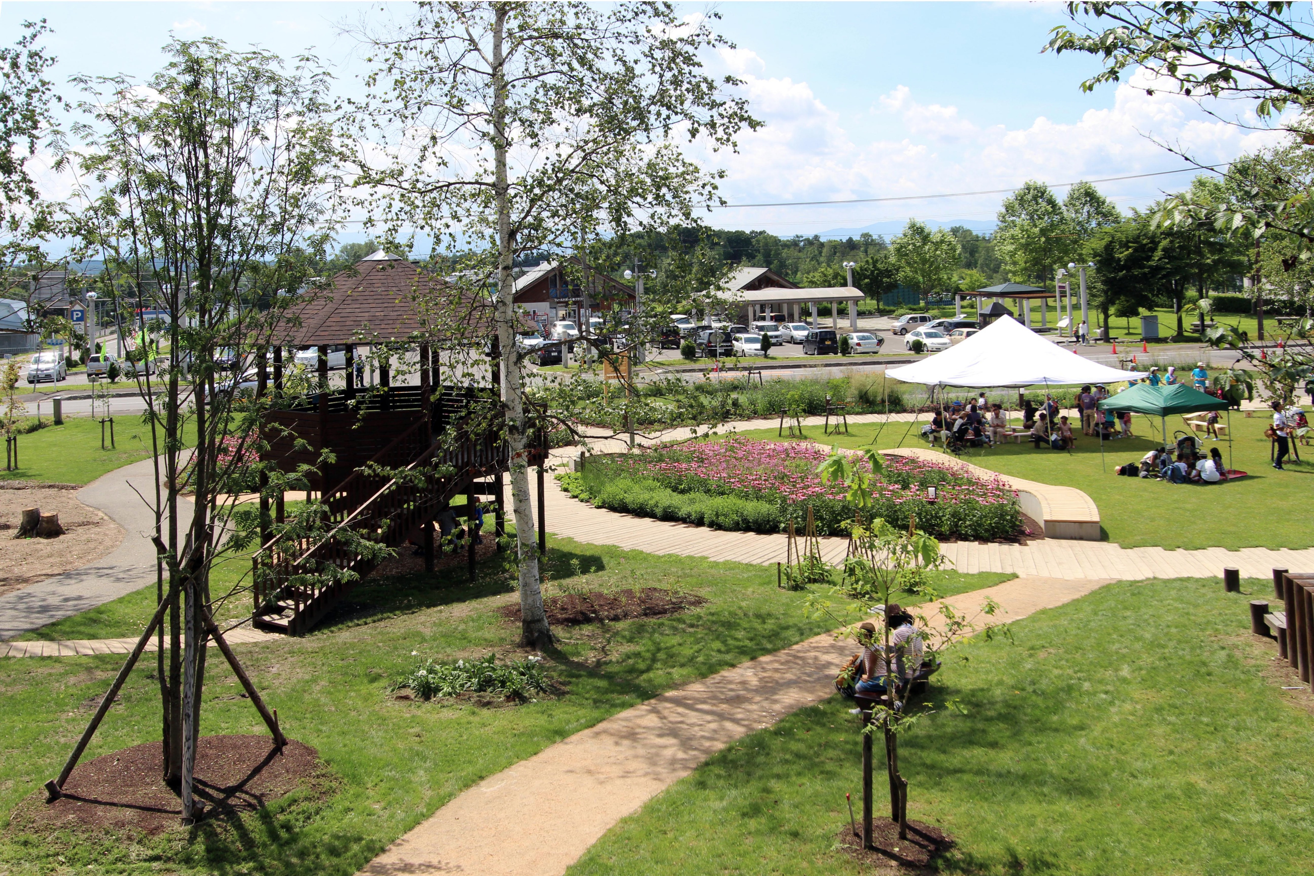 2015 年完成的库鲁米娜公共花园-18