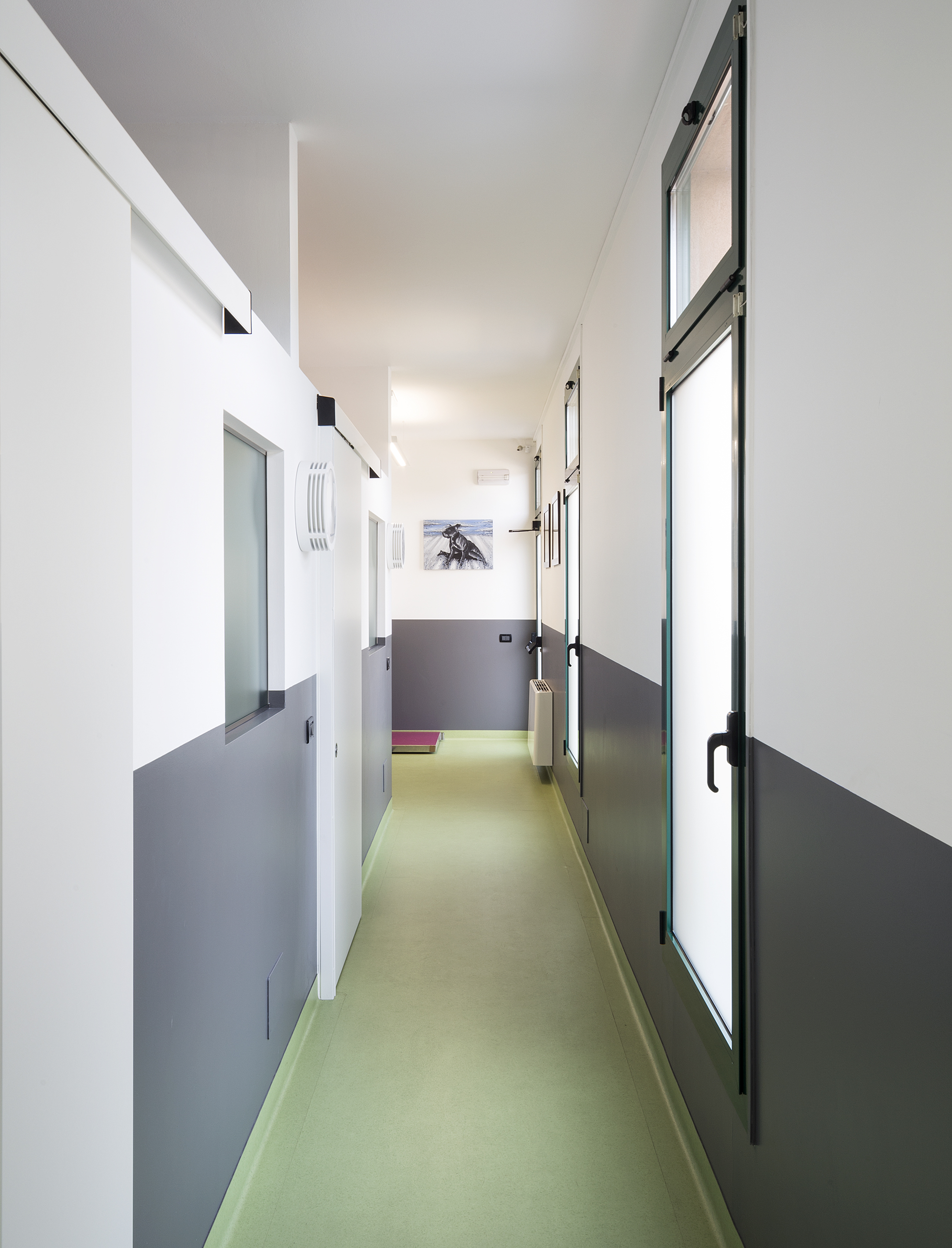 意大利兽医诊所翻新诠释简约美学-6