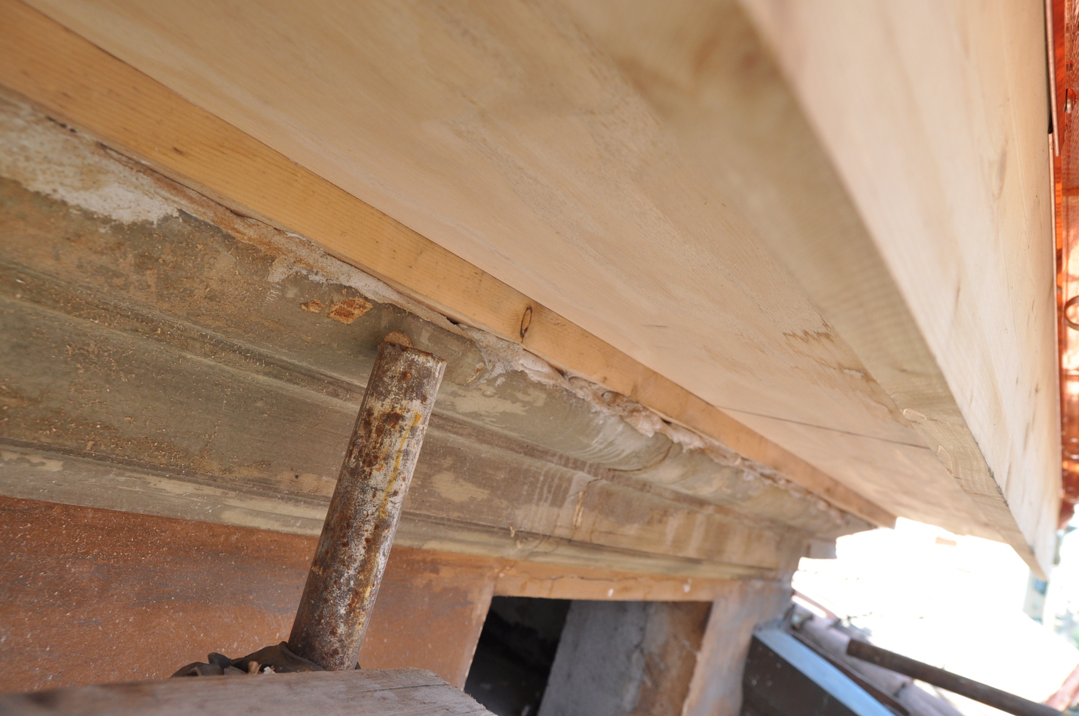 生态修复 | 博洛尼亚历史建筑的更新与重生-7