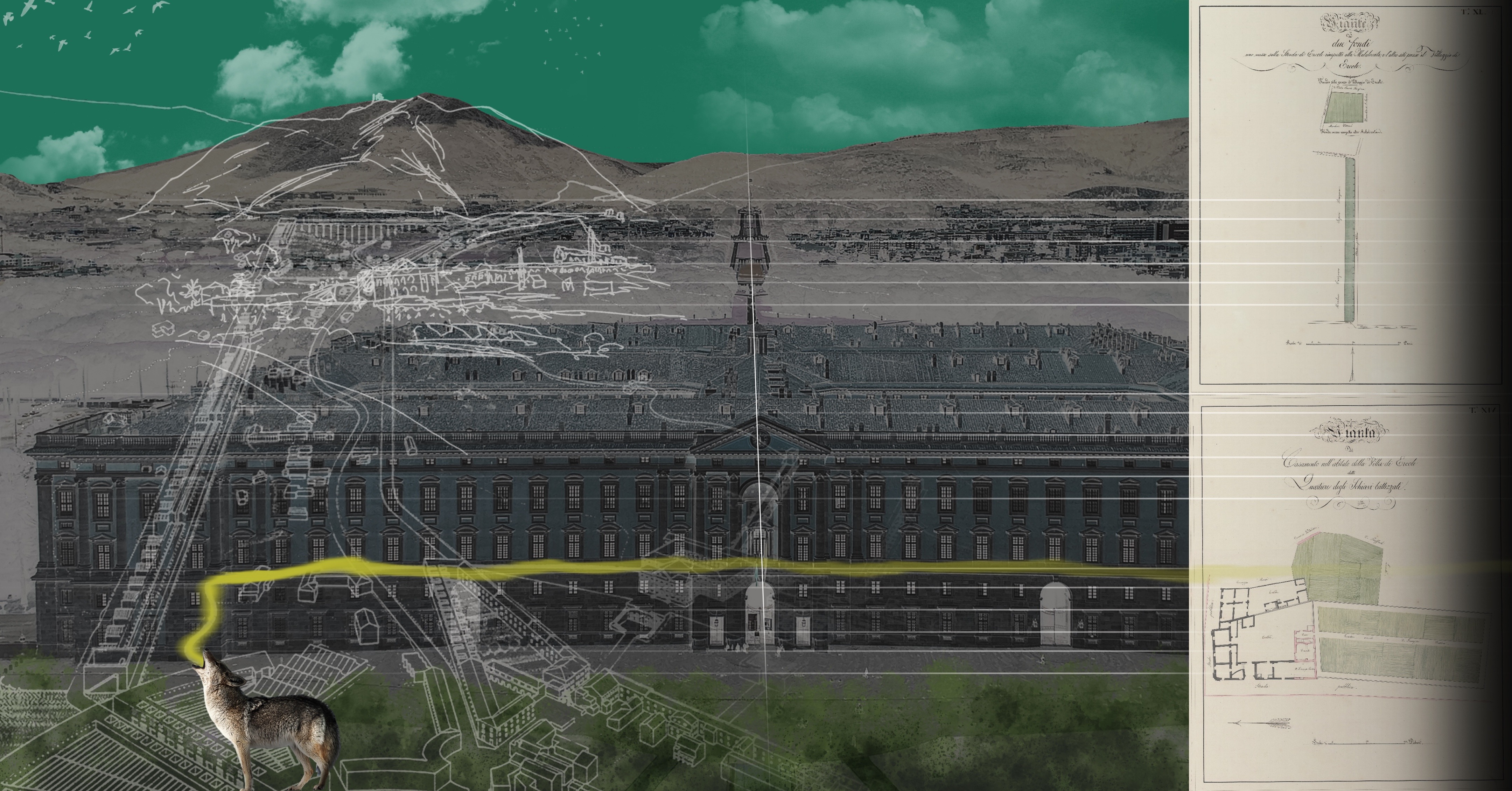 皇家花园中的私人住宅-0