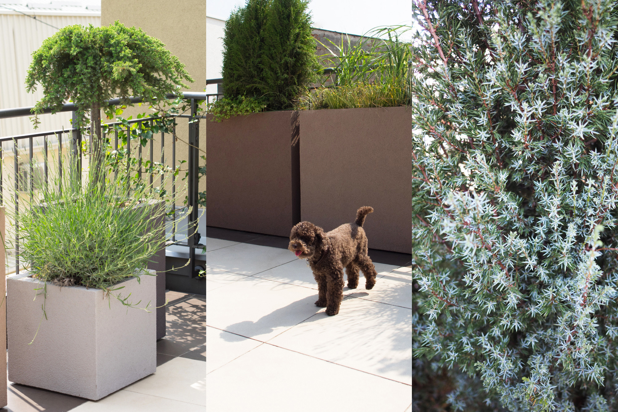 Belgrade 城市中心景观屋顶露台公寓-14