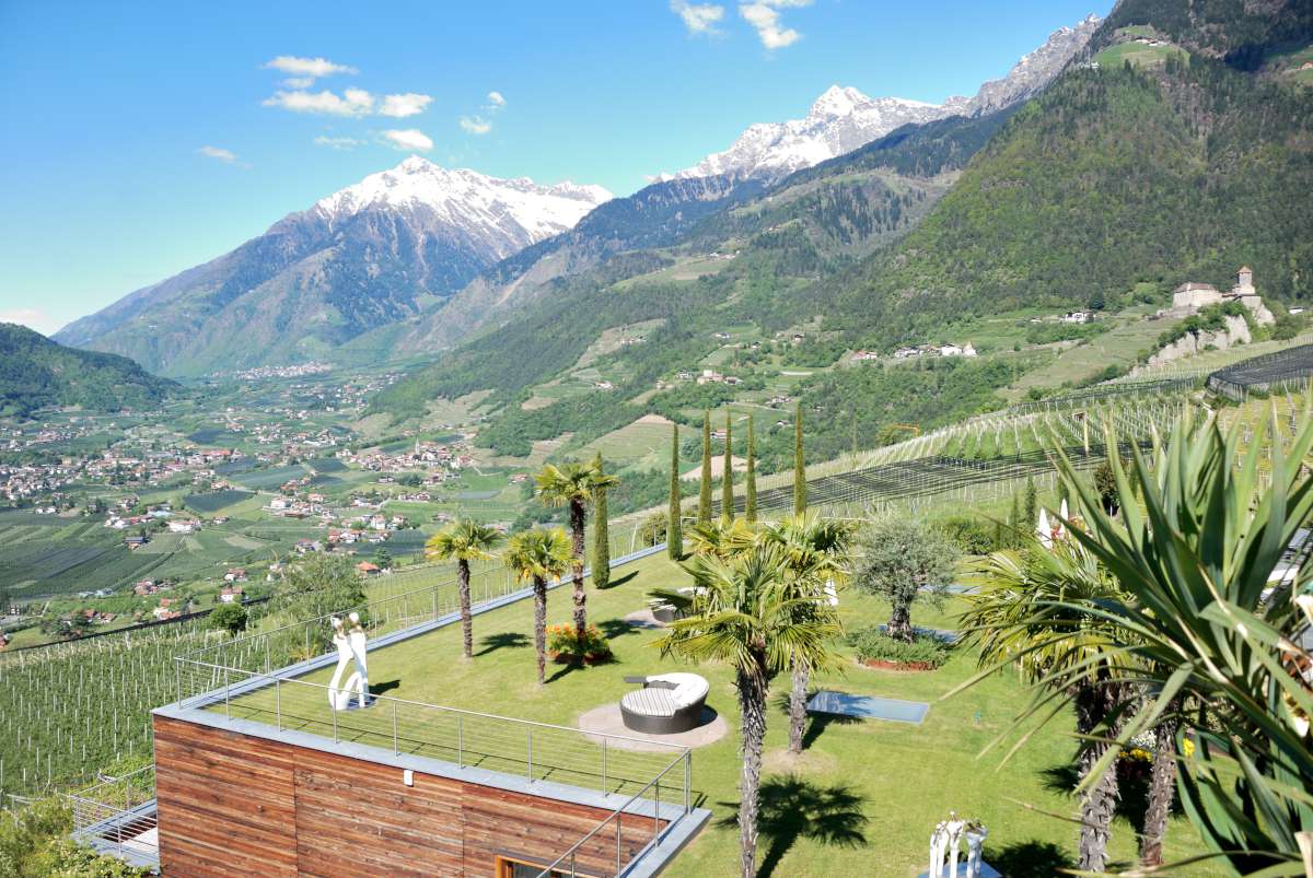 阿尔卑斯山间的五星级酒店改造-19