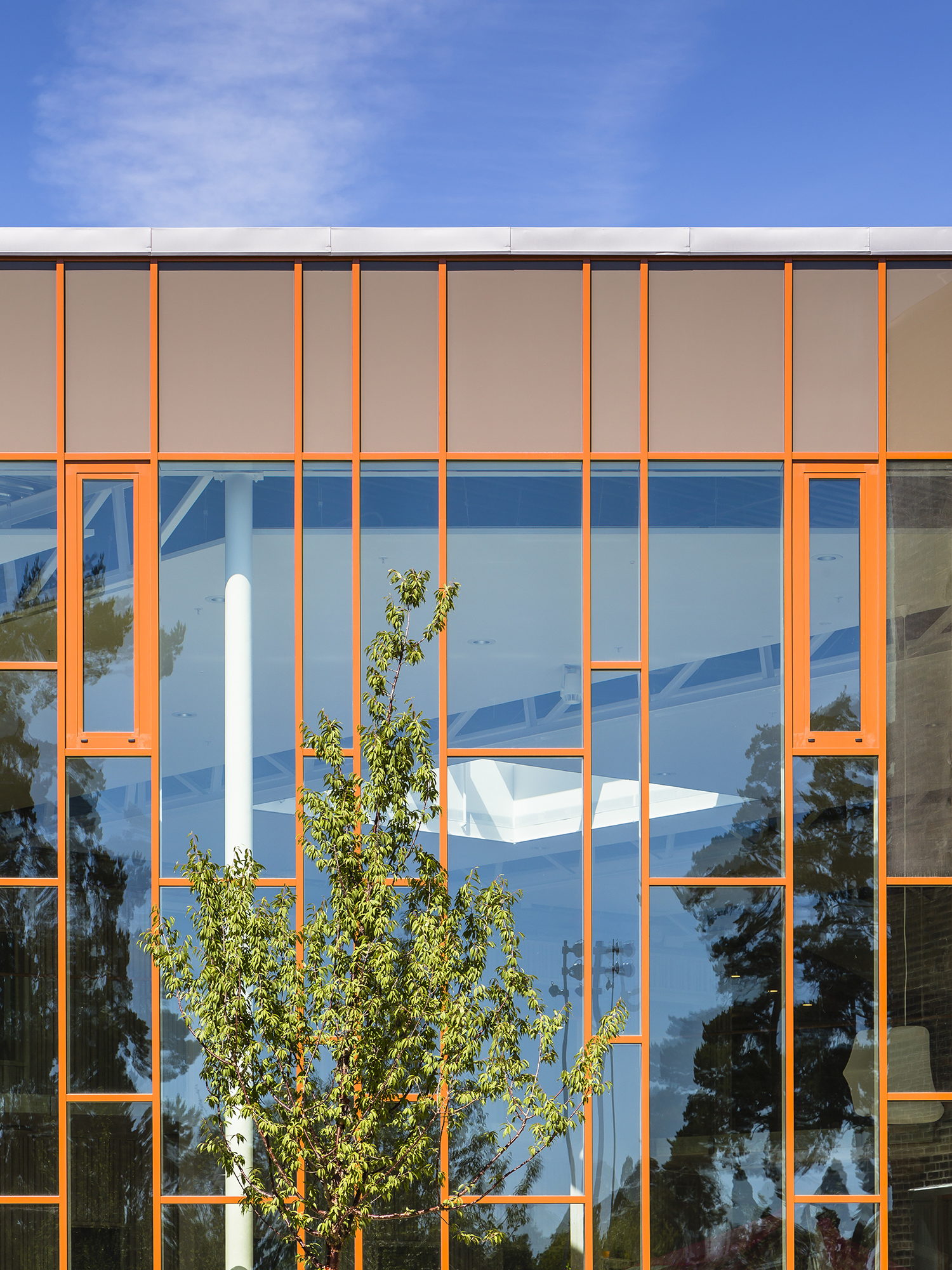 布林克斯柯兰学校——绿色环保、安全舒适的教育环境-10