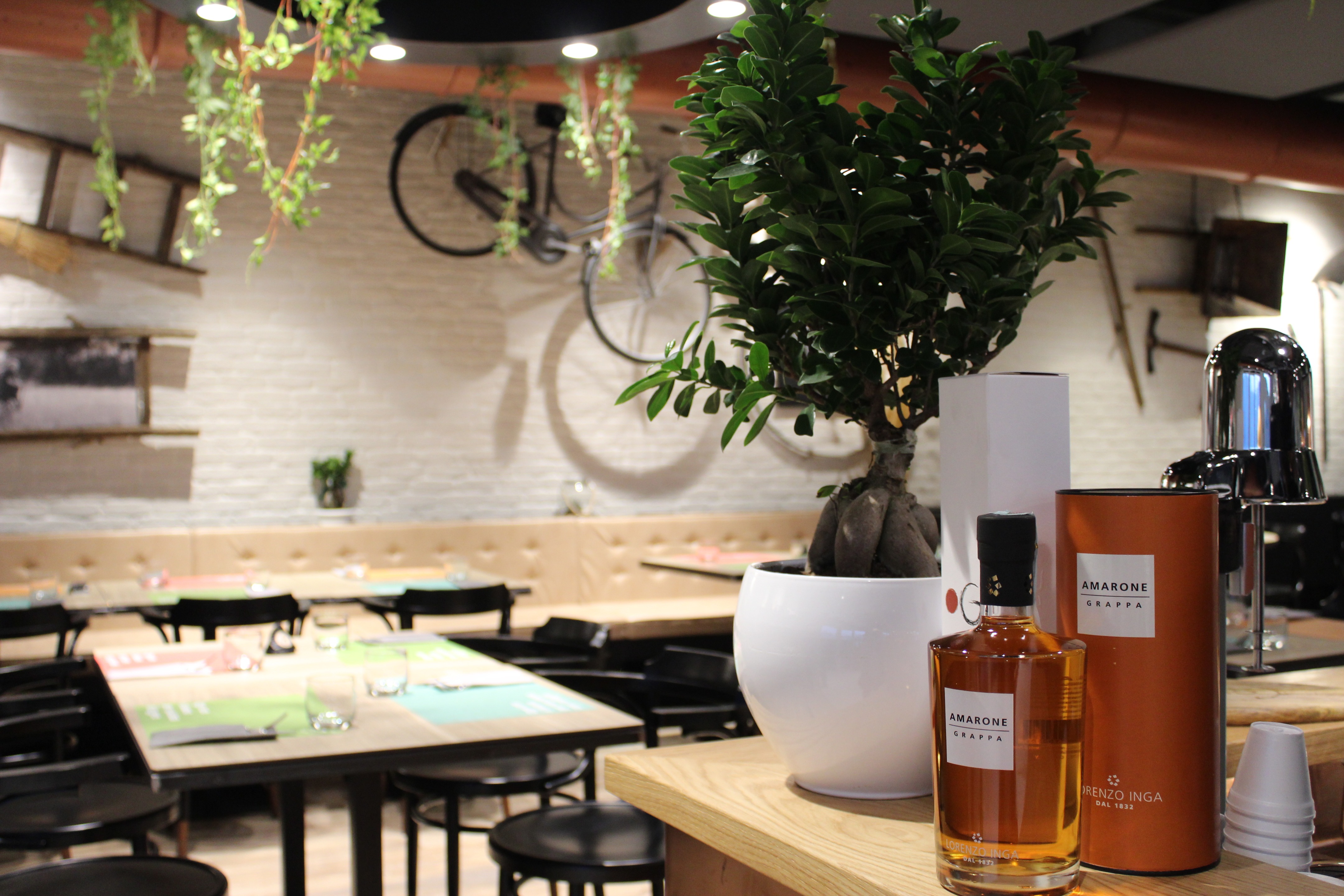 Olì360 餐厅 | 传统与创新的完美结合-3