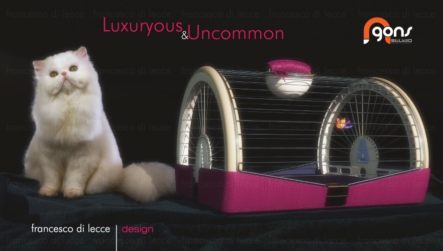 猫咪宠物运输工具设计-2