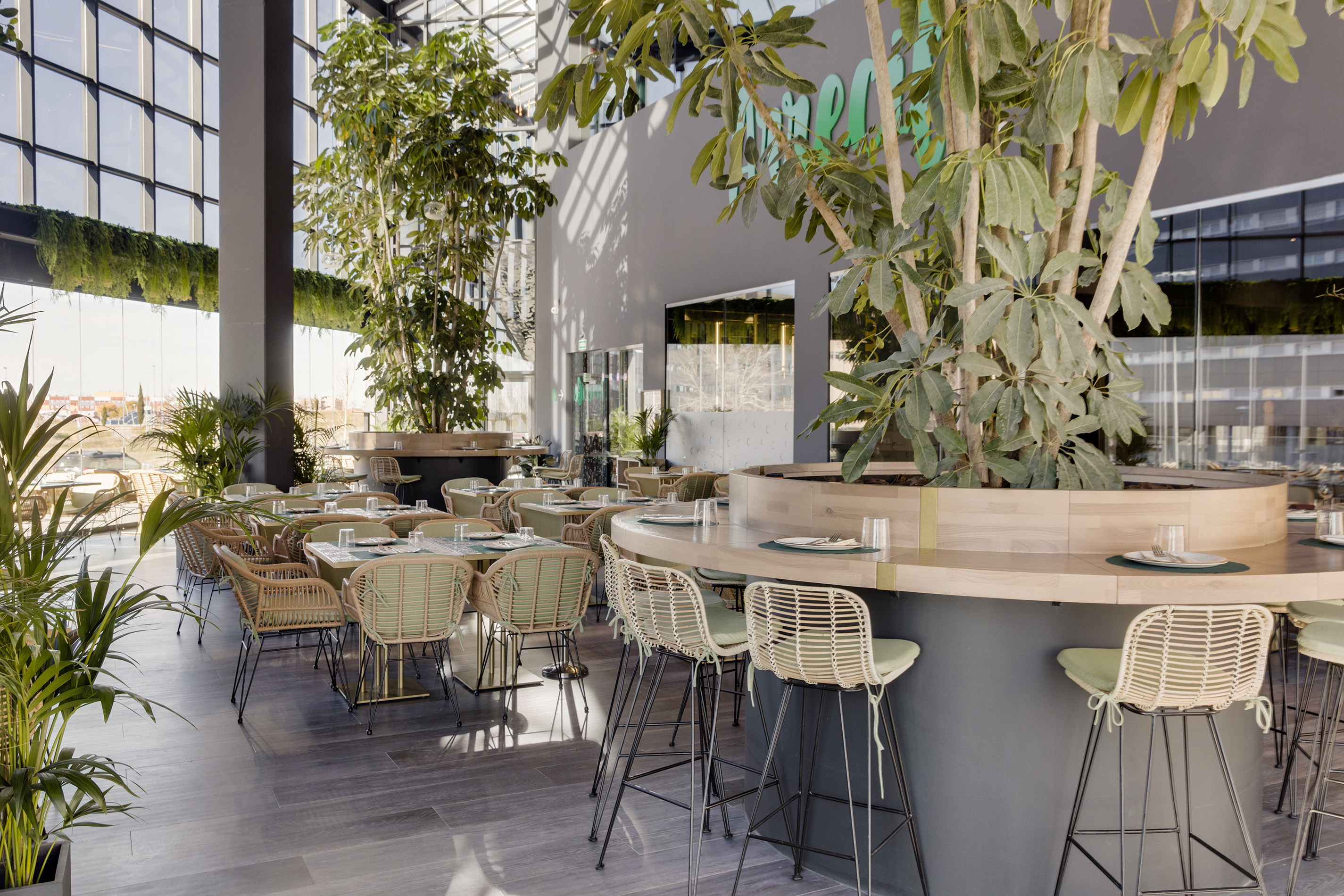 穿越海洋的美食之旅 | BÁLAMO 餐厅-3