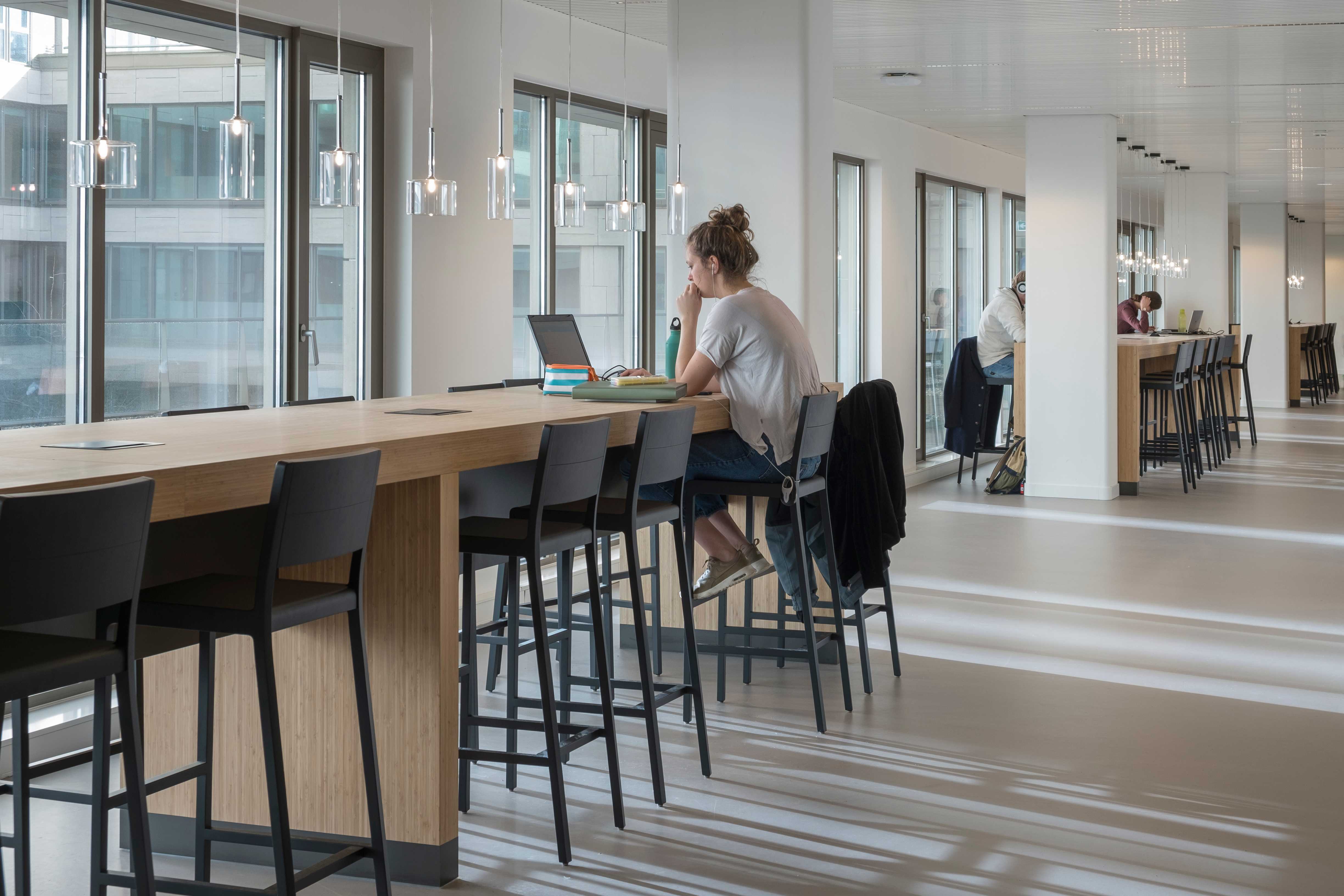 海牙莱顿大学校园-15