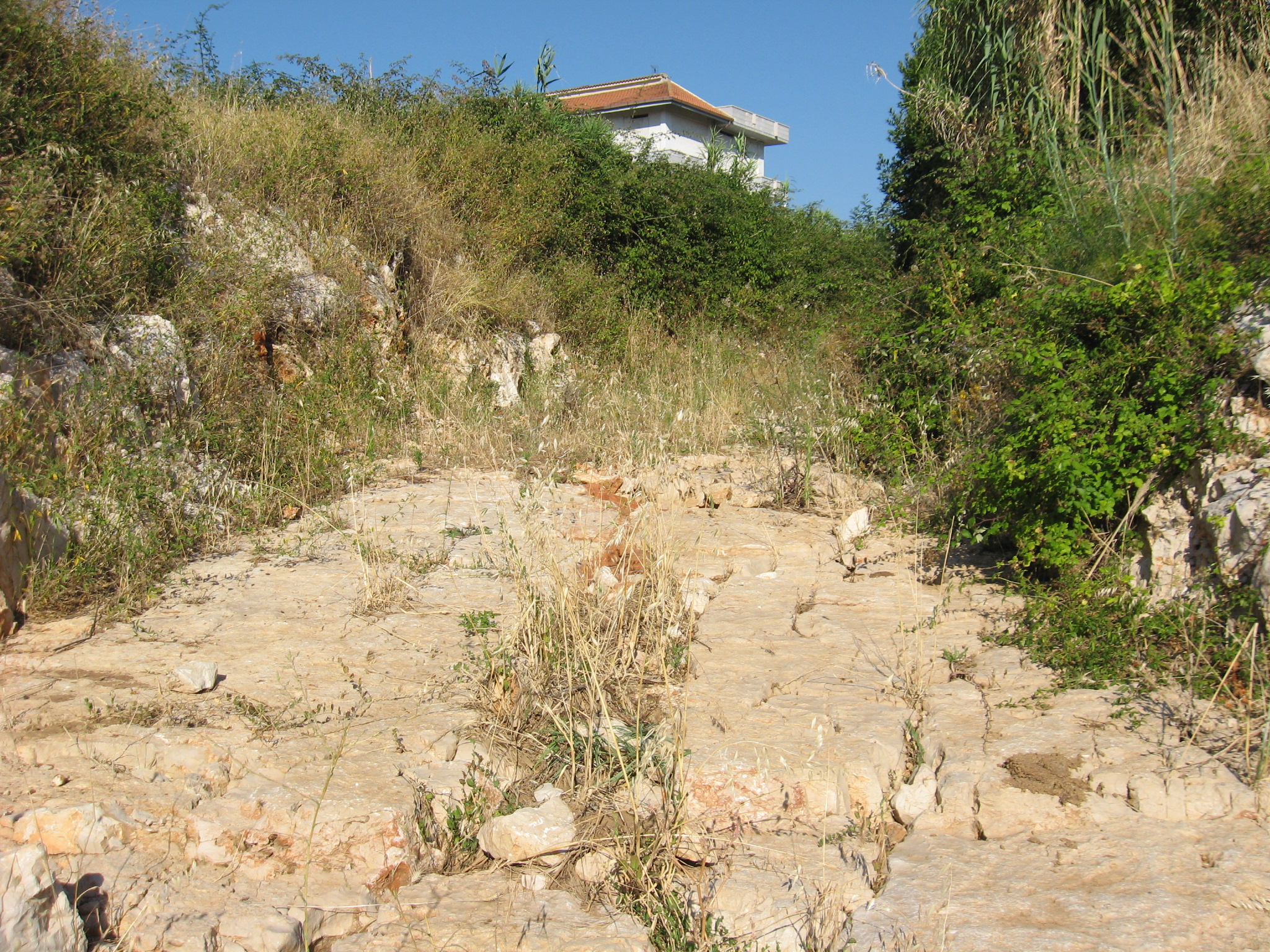 城市空间重塑 | 以河流恢复为契机的公园规划-1