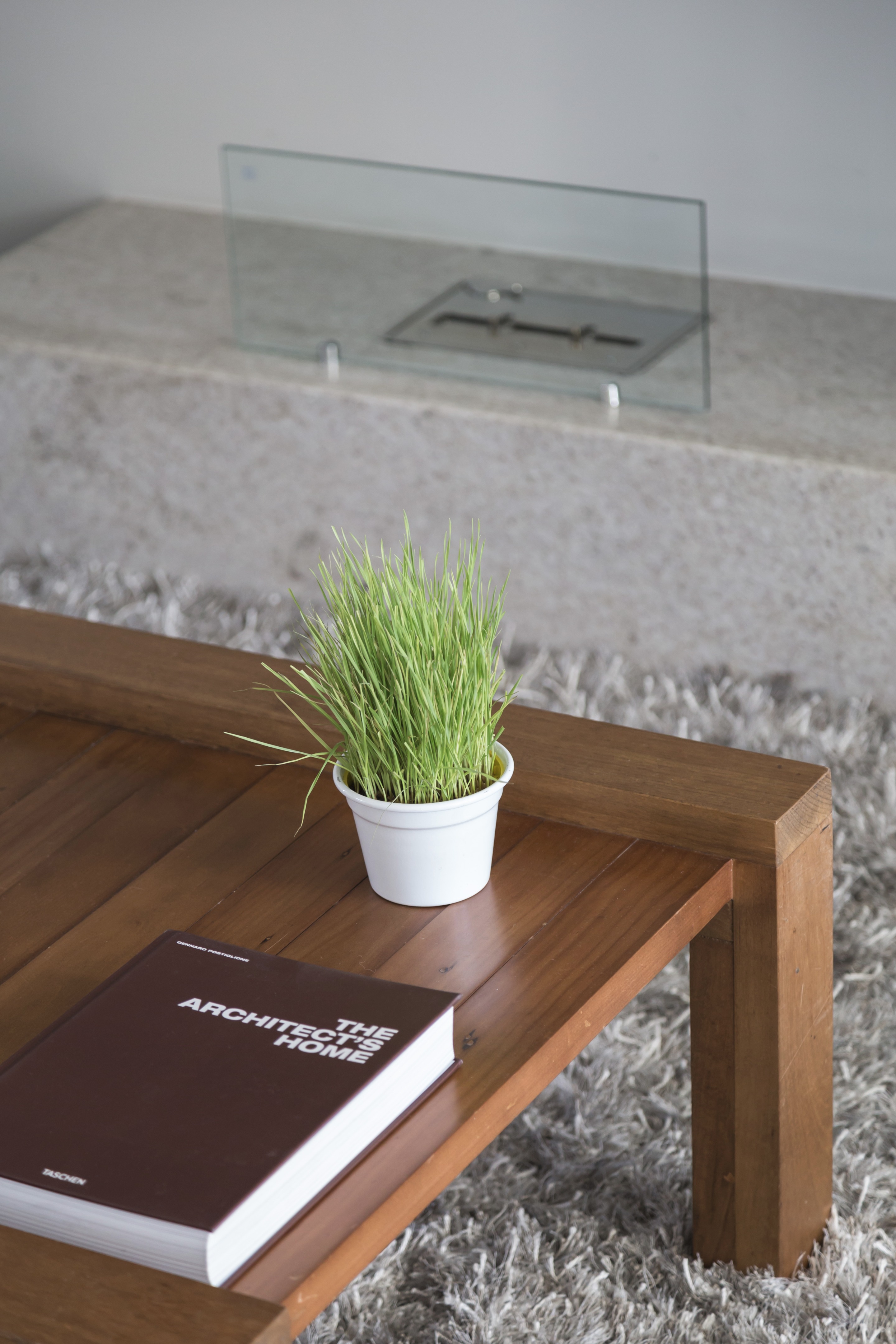 巴西现代简约别墅，自然与永恒的融合-28