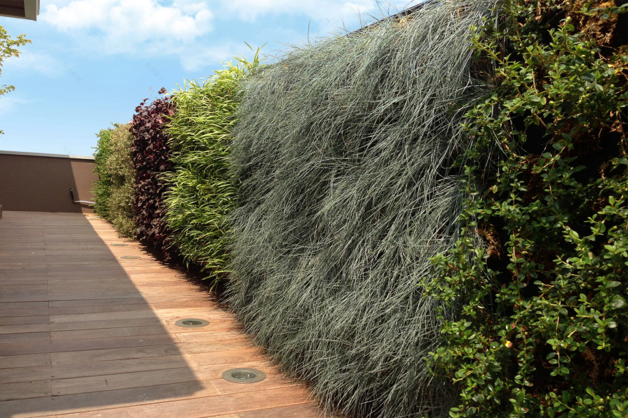 绿色栖息地 · 挑战室内绿化的极限-0