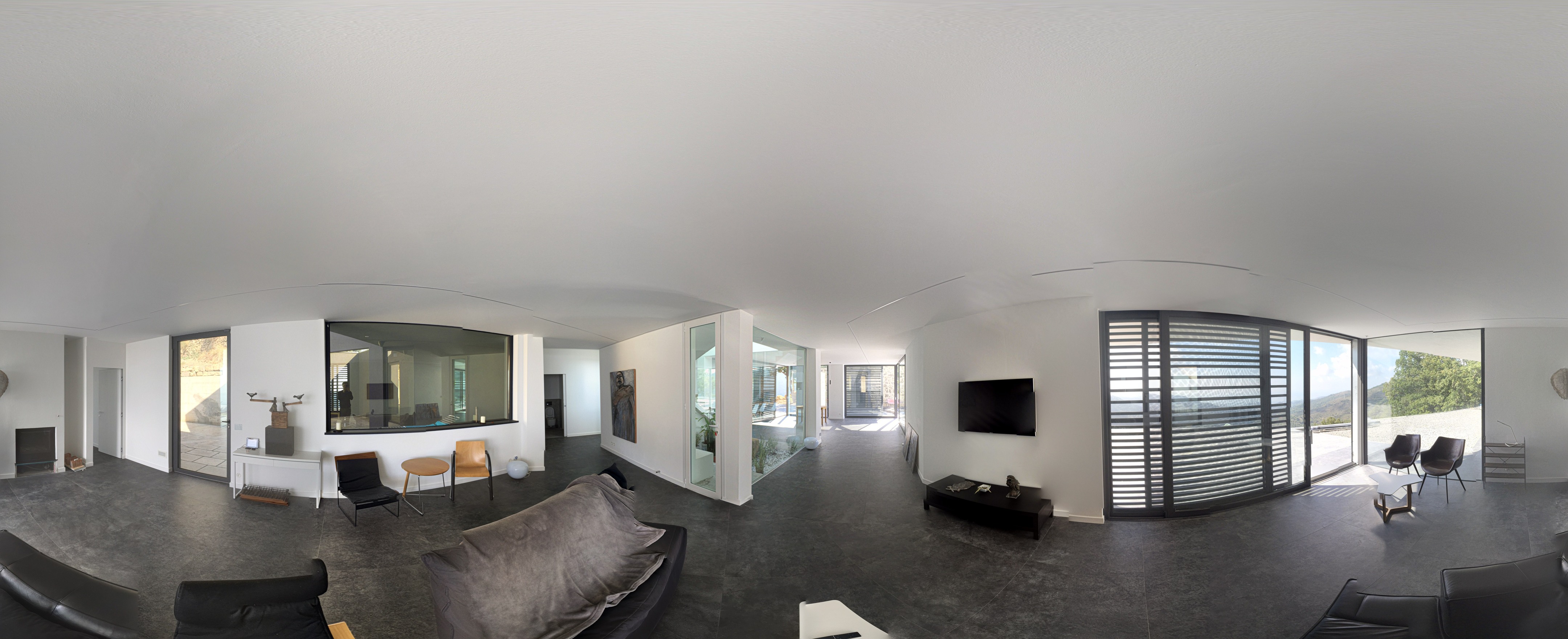 2016 年完成的黑色独栋住宅设计-1