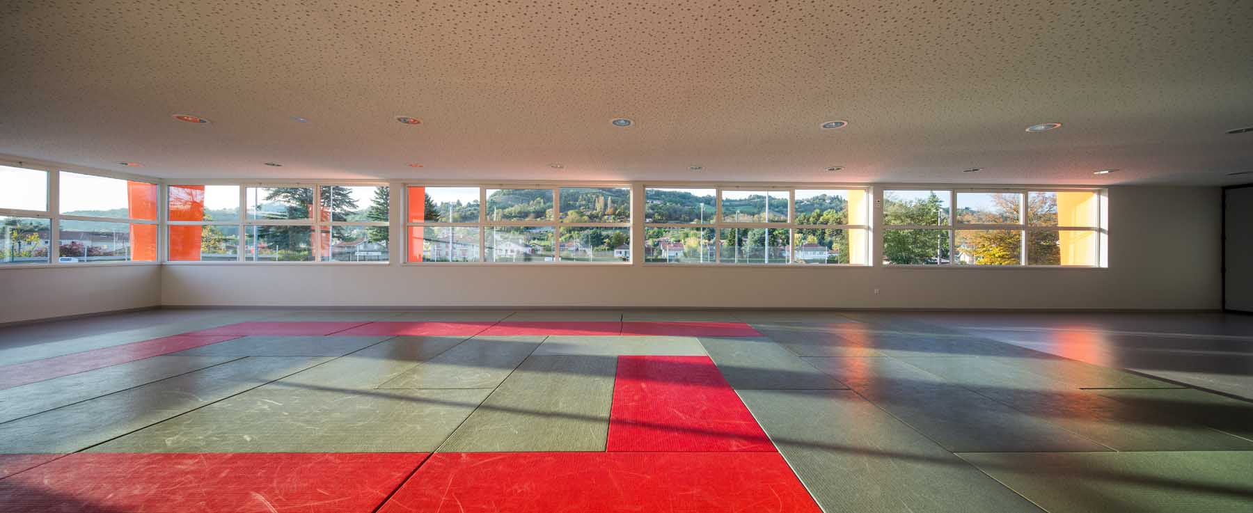 圣马塞尔林卡里尔体育馆修复-39