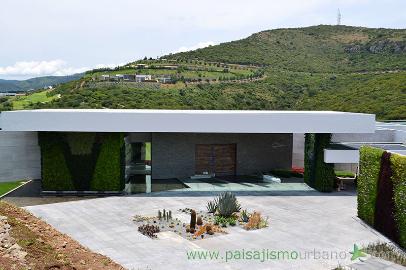 墨西哥绿意盎然的家庭住宅-35