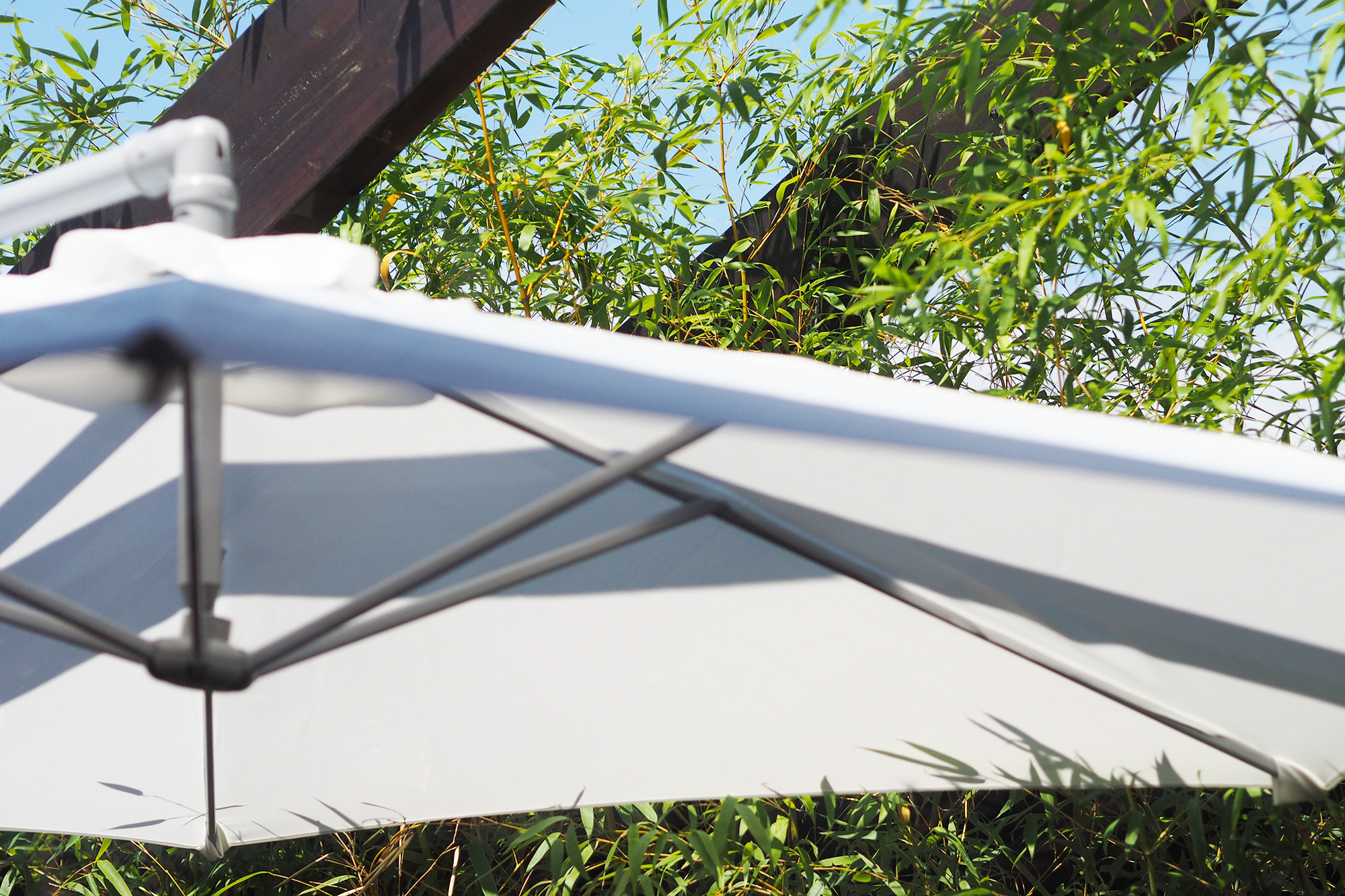 城市中的世外桃源-14